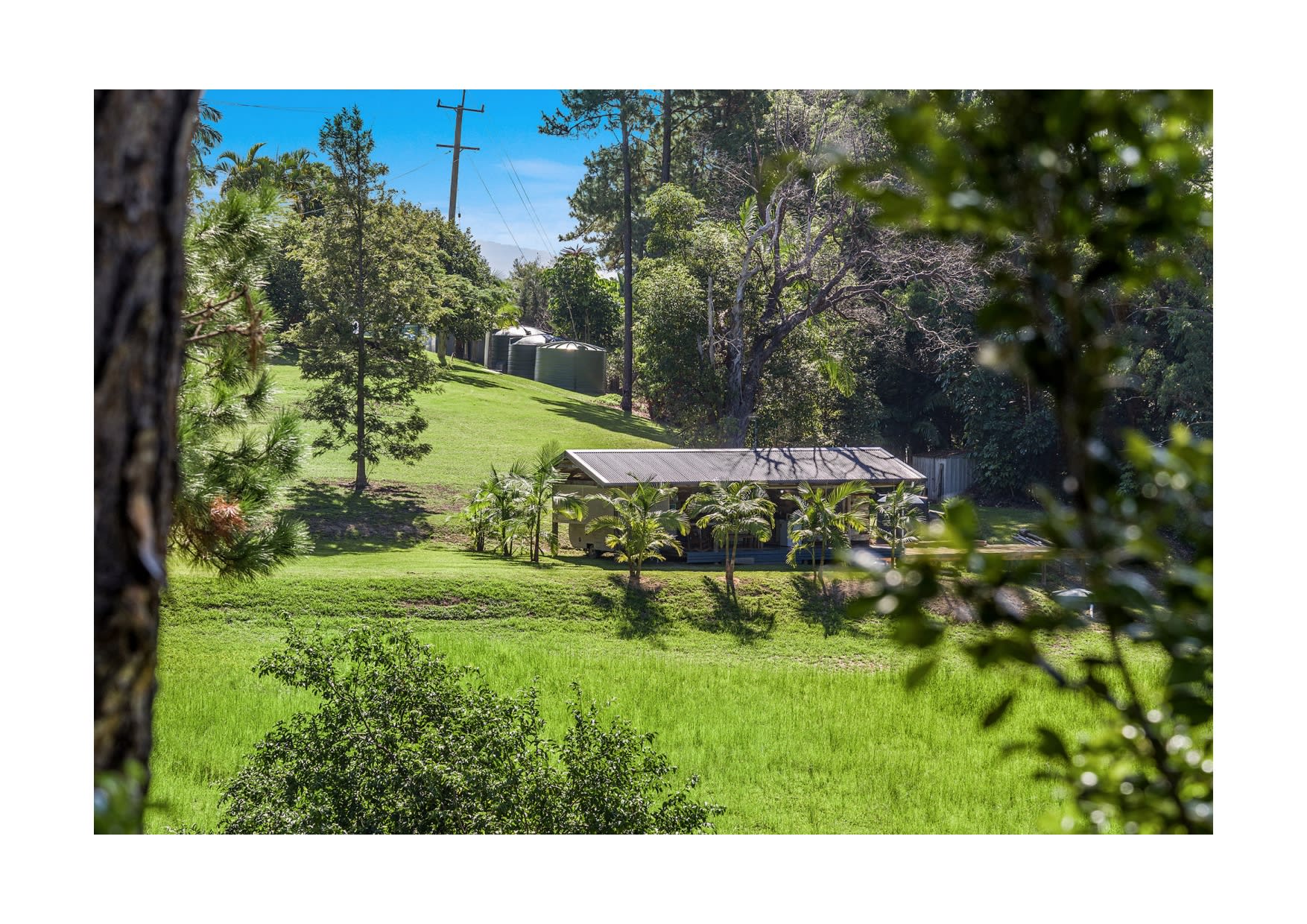 Nature Immersed Cabin & Glamping