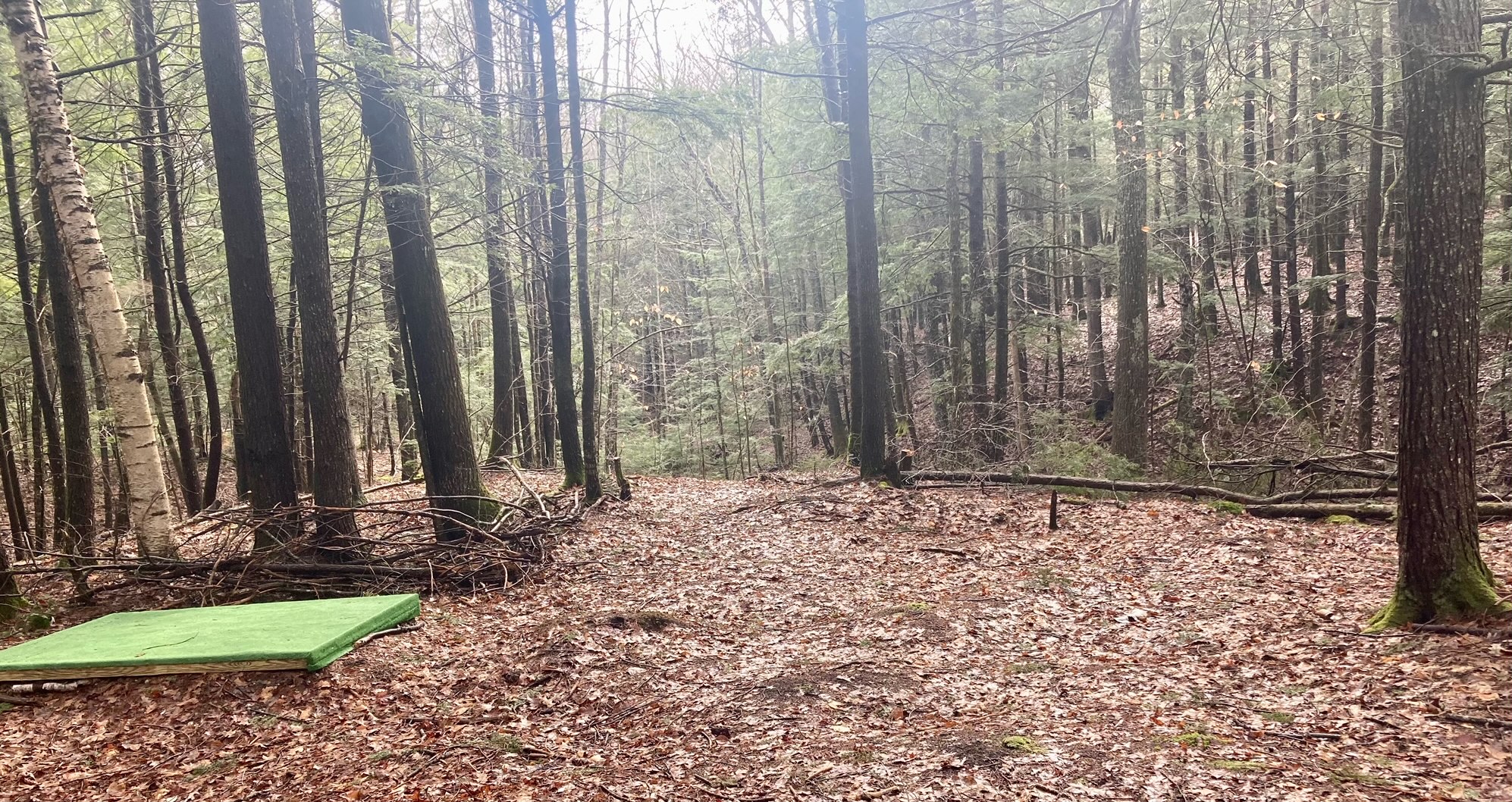 Runaround Woods Disc Golf & Cabins