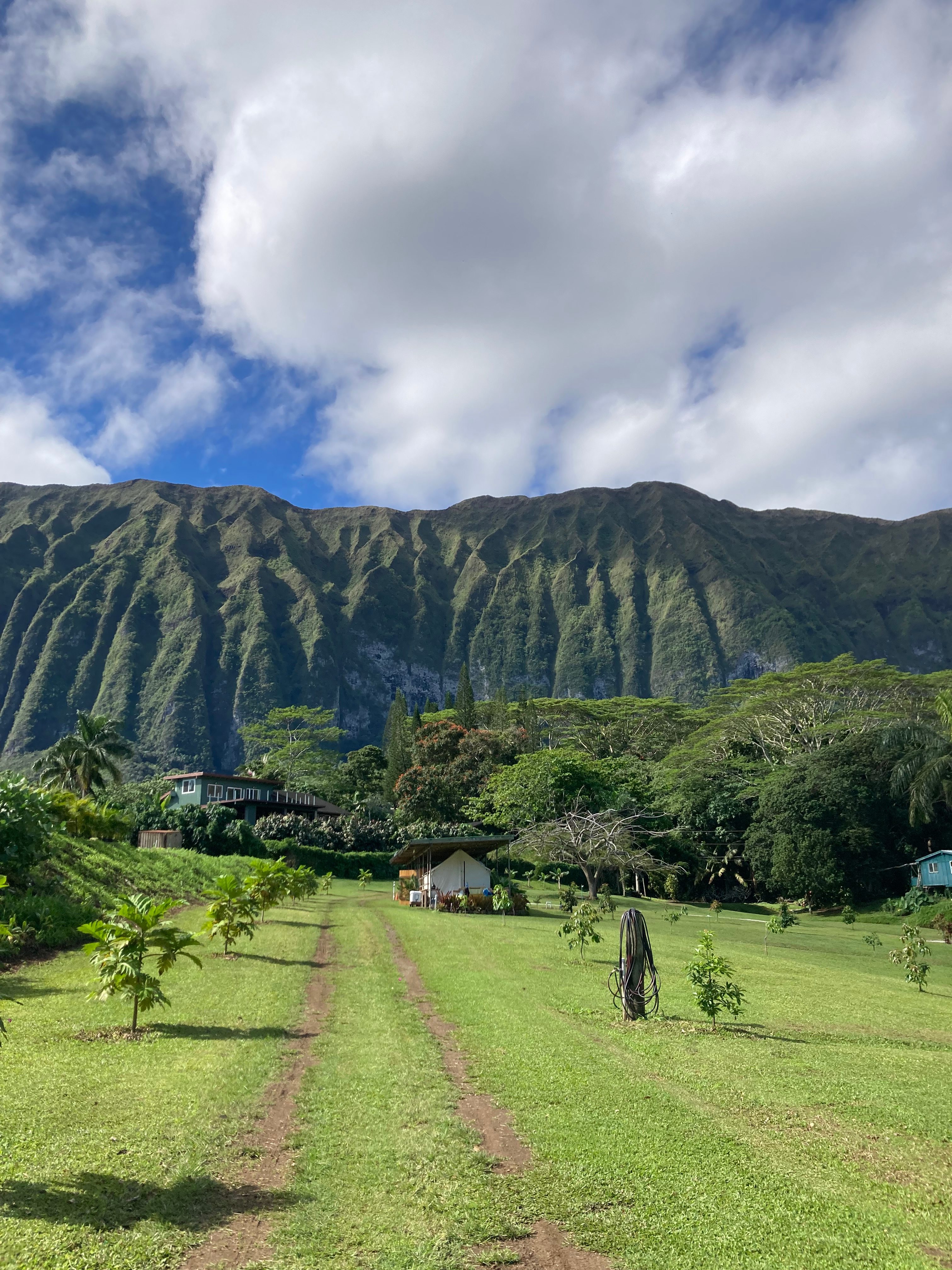 Waimanalo Farmstay