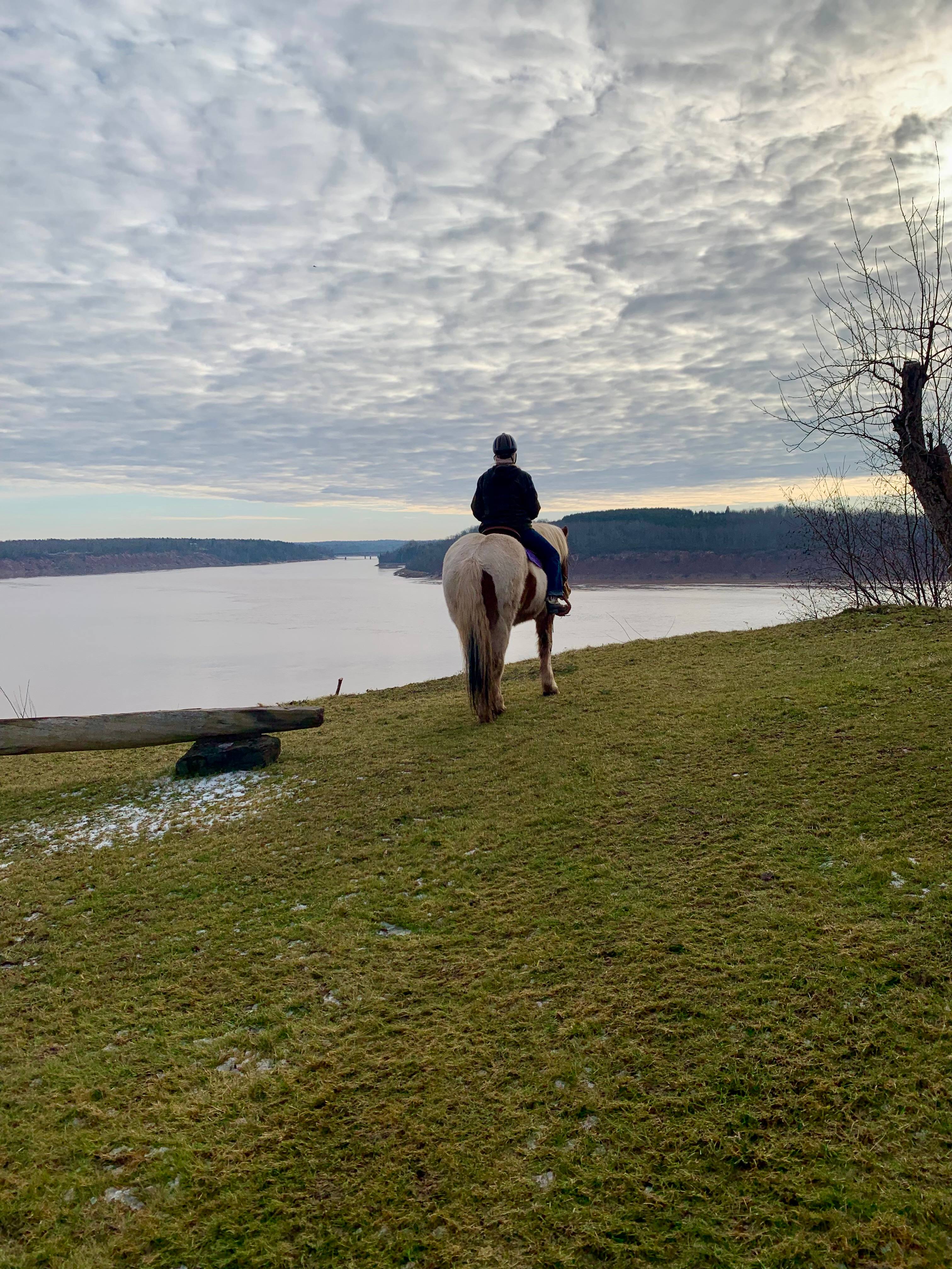 Main and best River view.  Even our horses love it