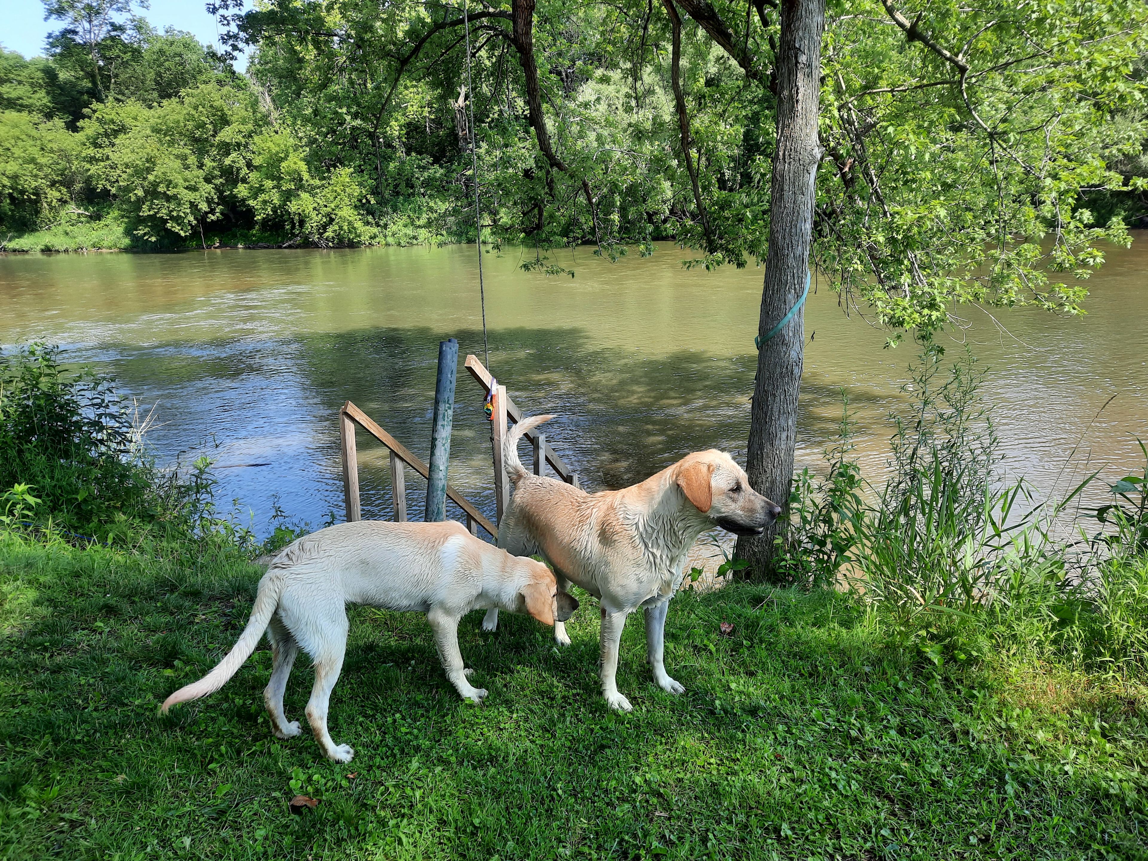Root River Hideaway
