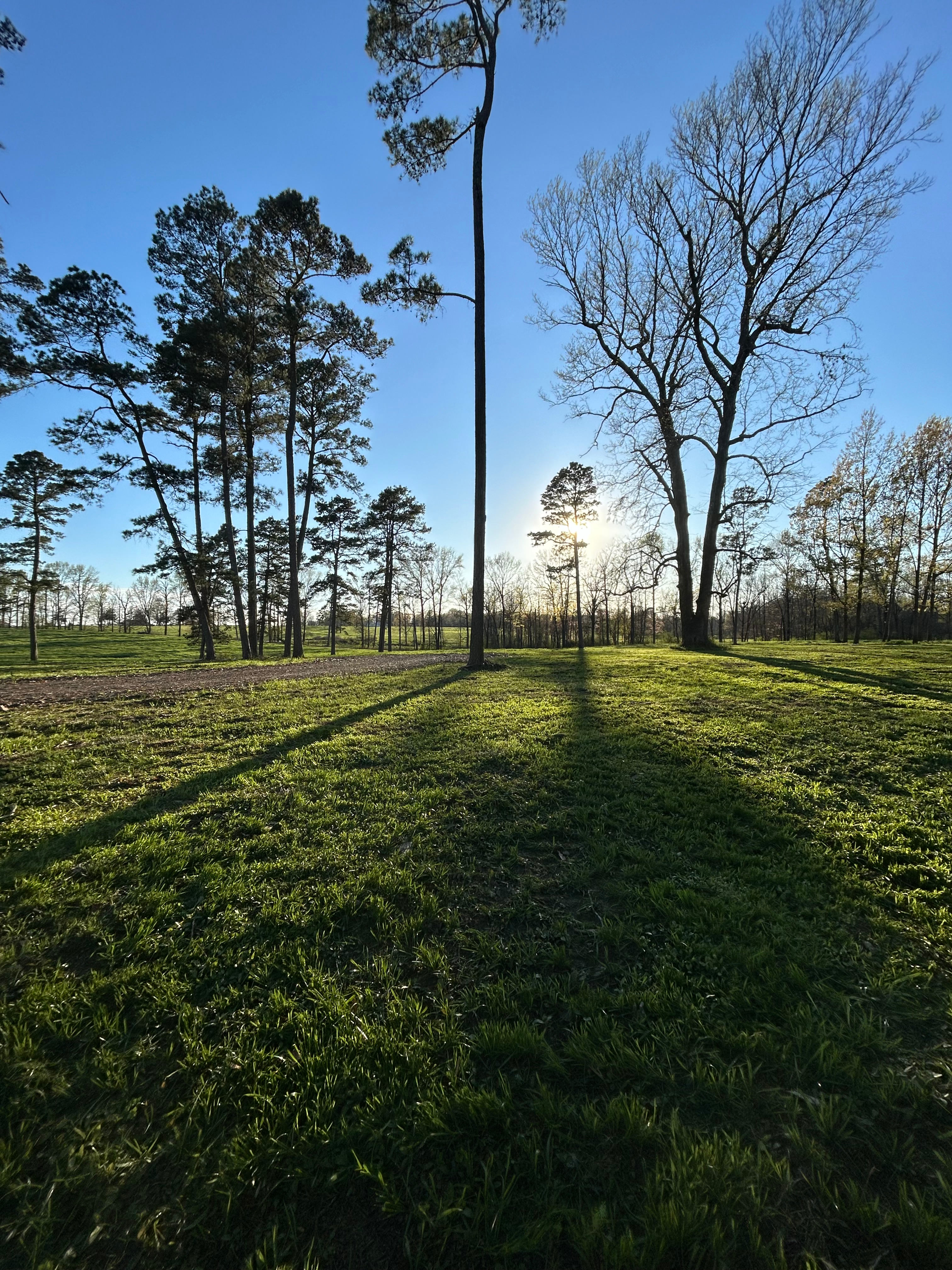 Deer Run