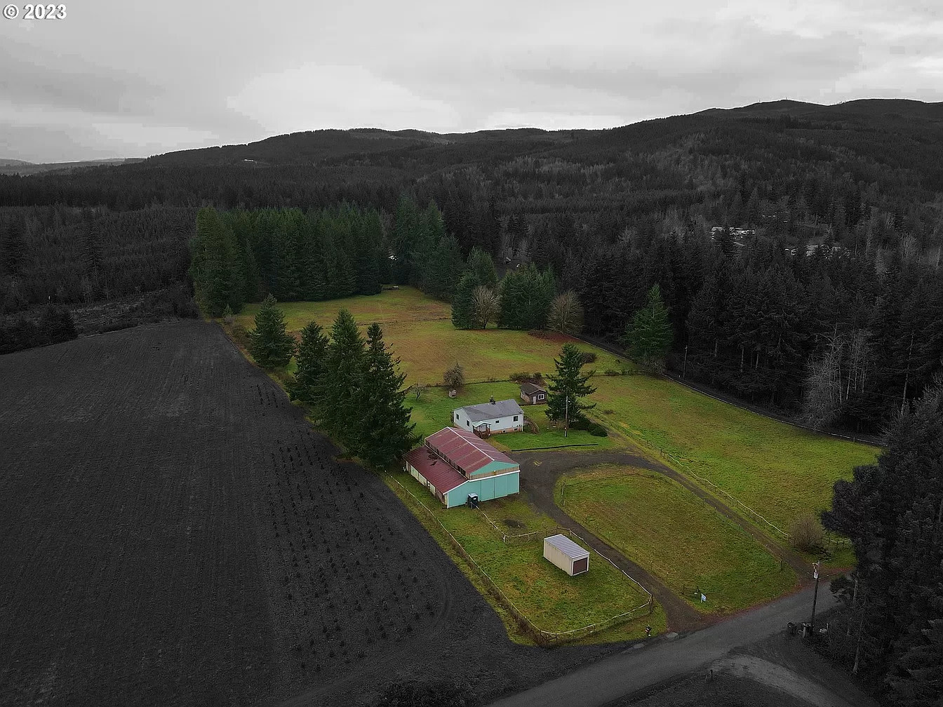 Horse Camp Next To Forest Trails