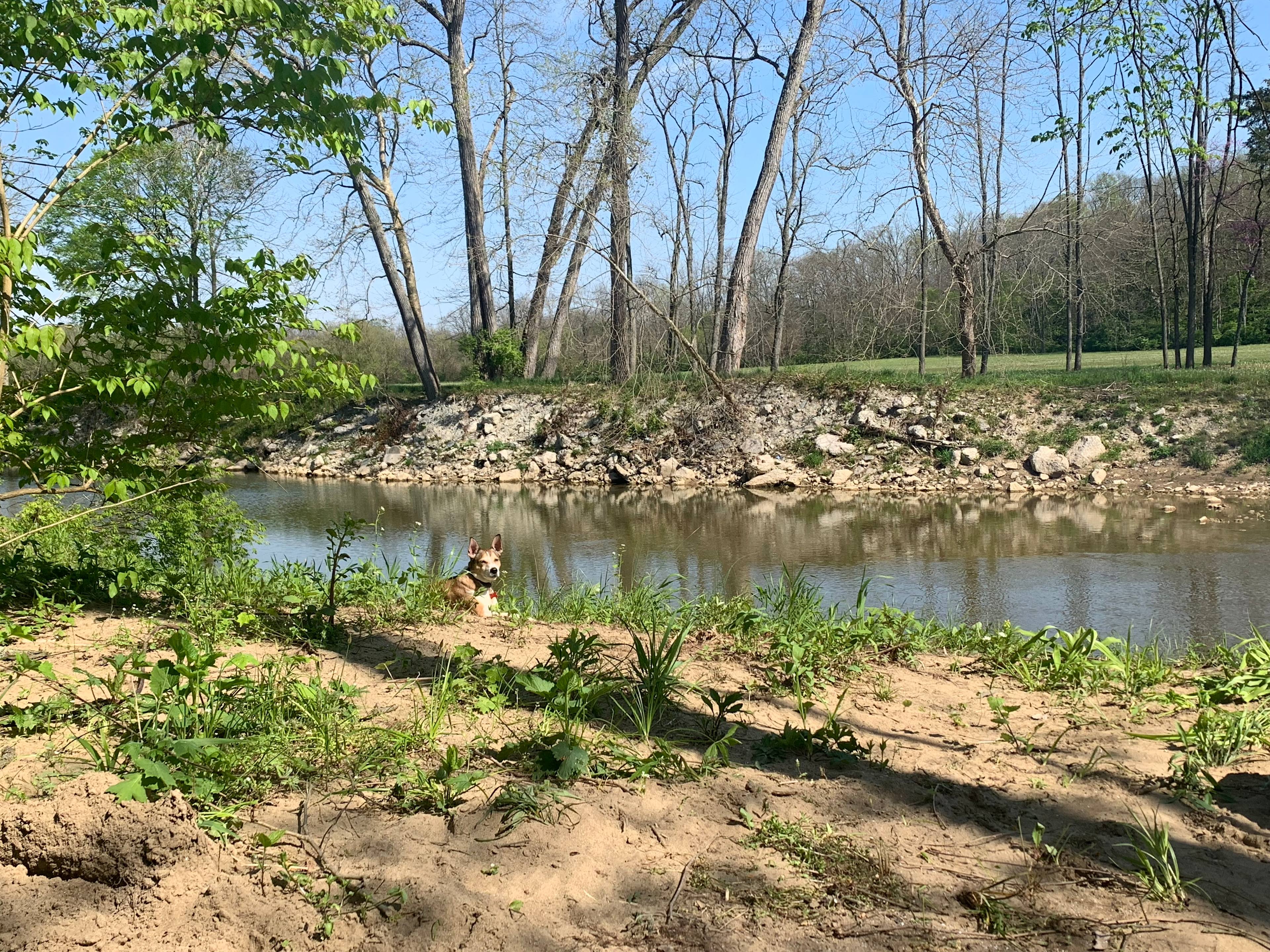 creek site 1