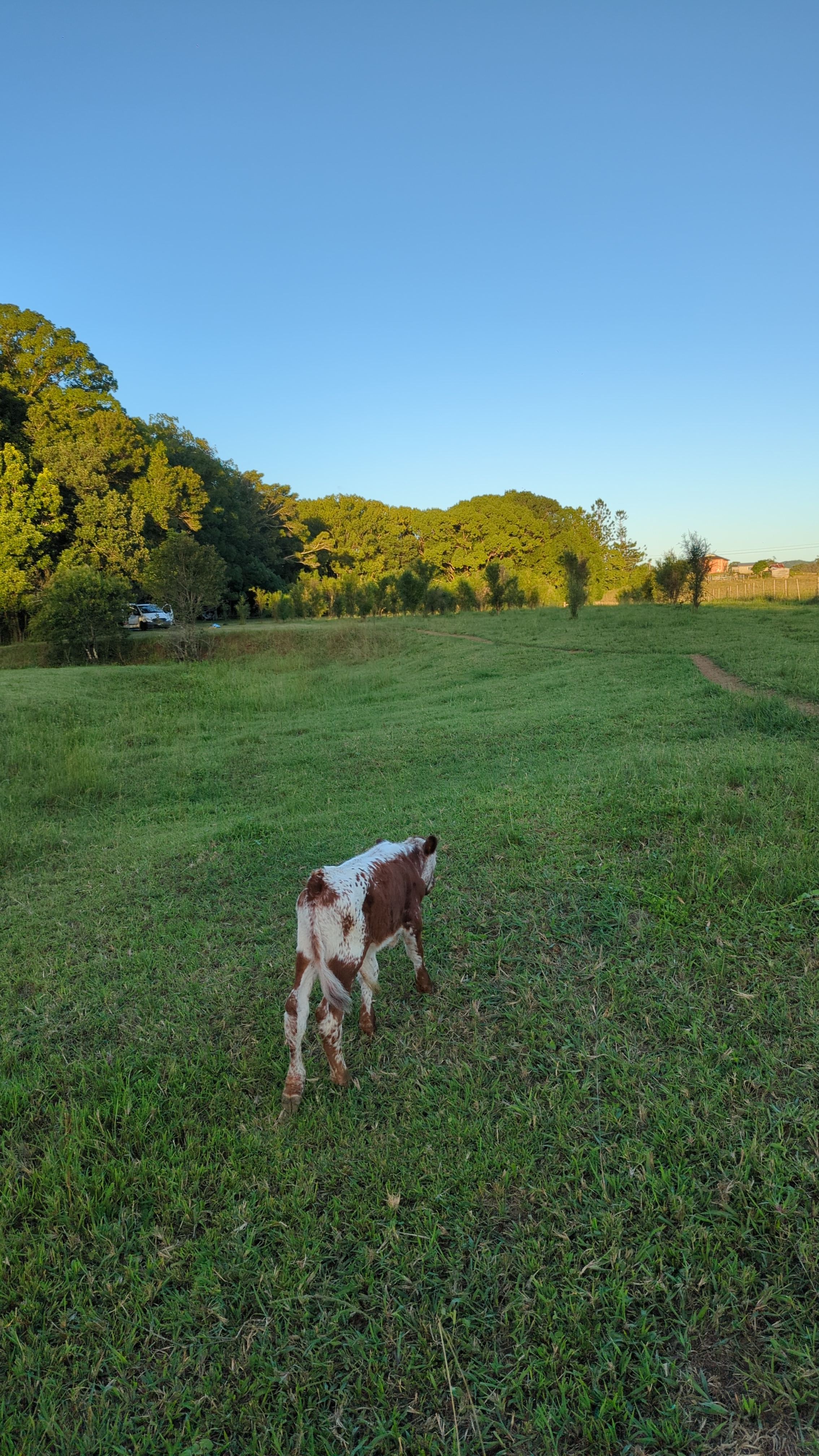 Paradise in The Pocket