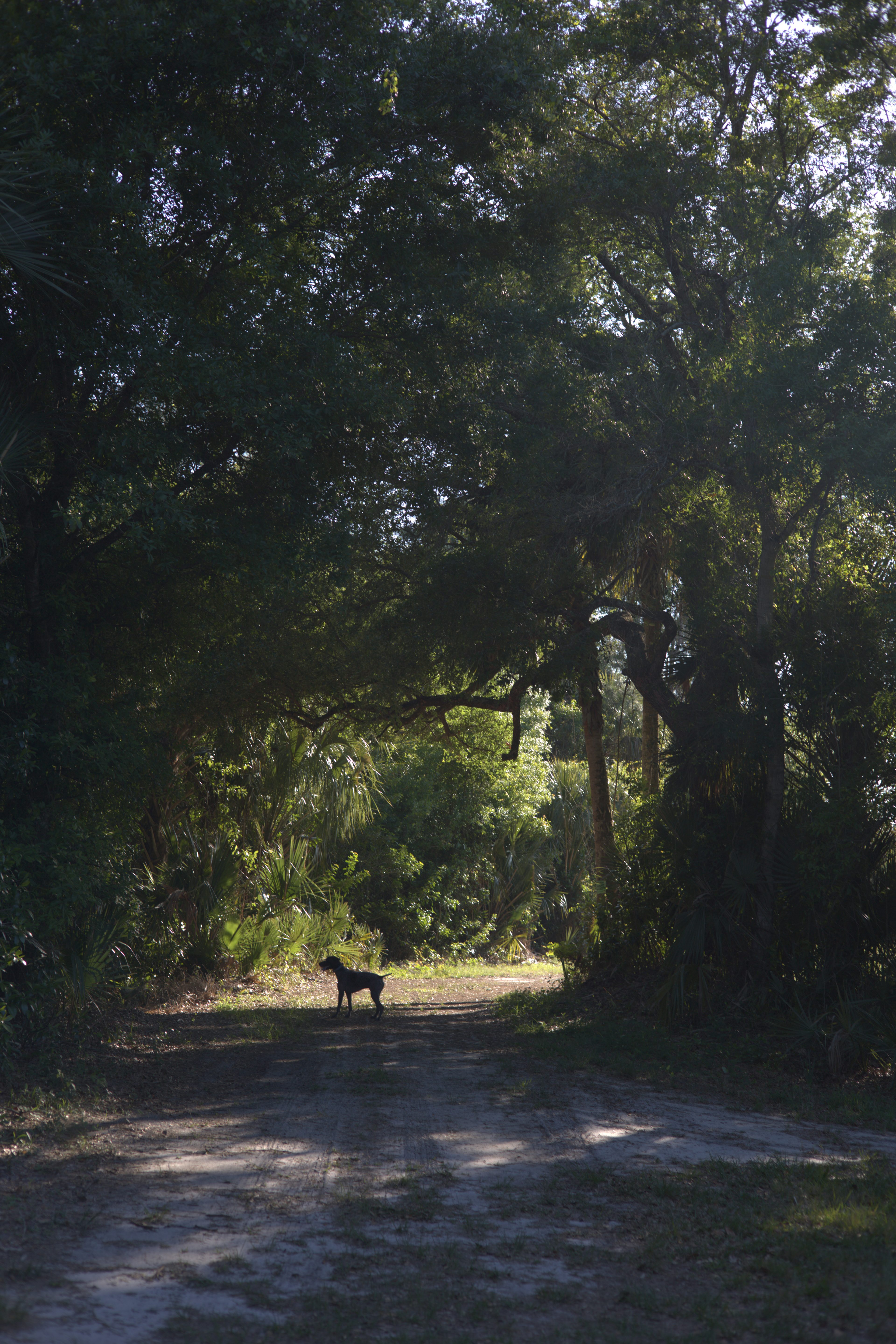 Saint Lucie Farm Preserve