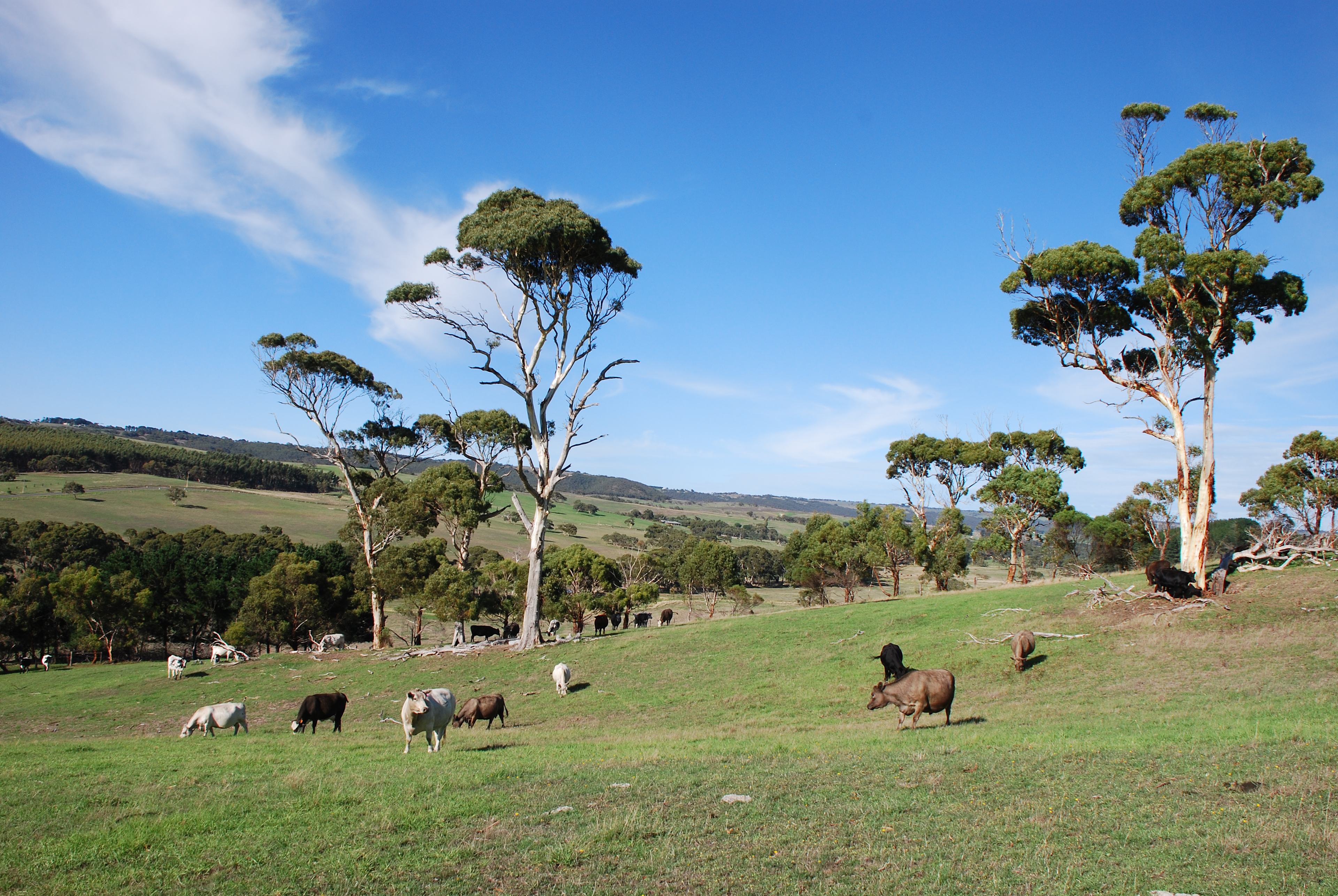 Green Pastures Retreat