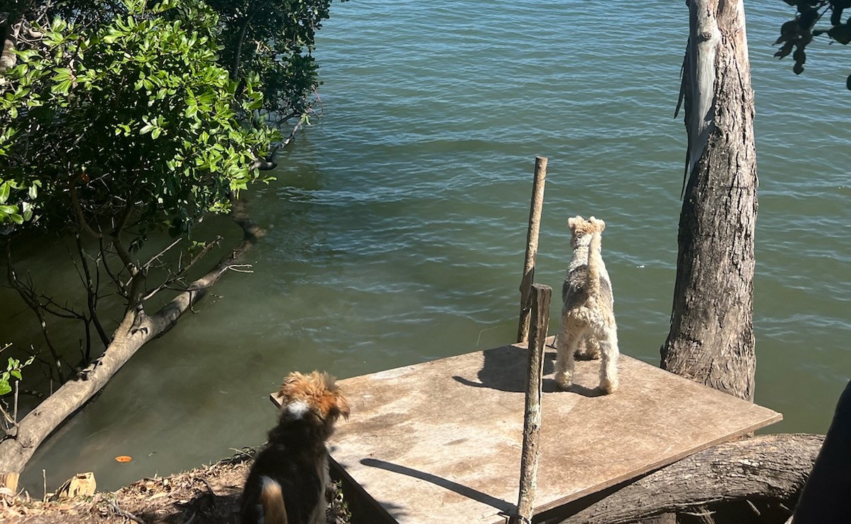 Goodwood Island River Camp & Stay