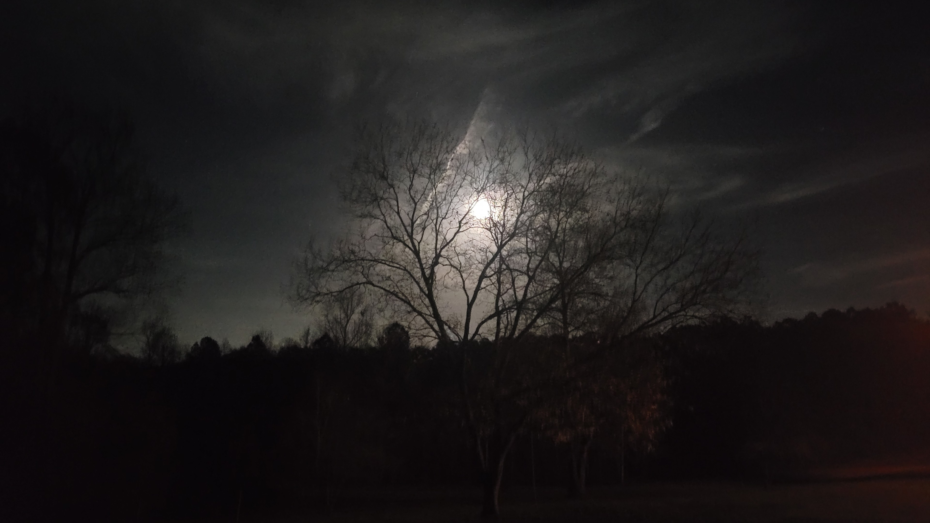 Haunted Barn Patio- Tent Site