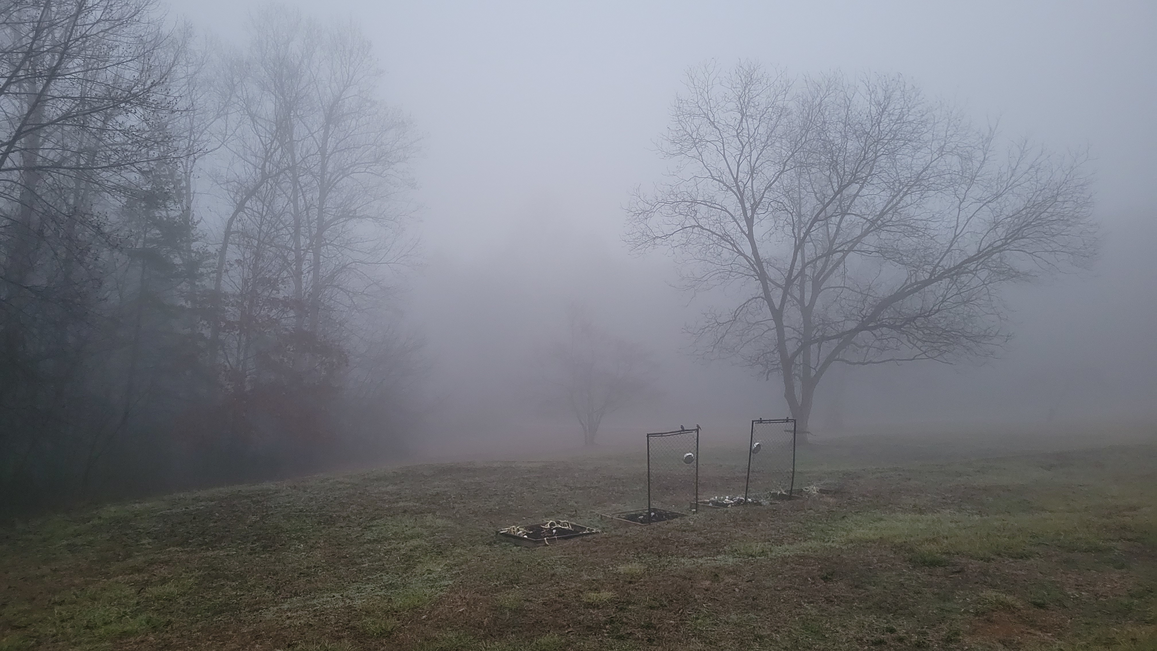 Haunted Barn Patio- Tent Site