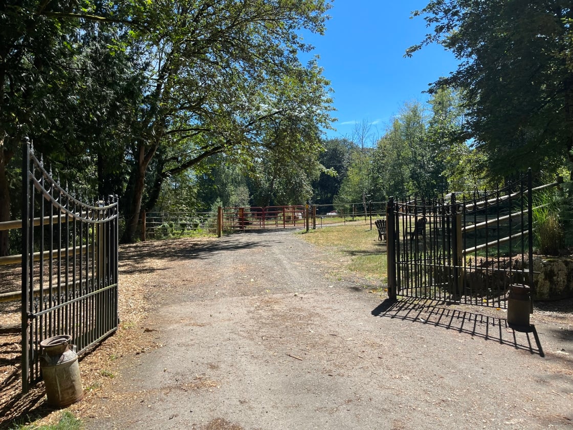 Rockin’ Z Ranch