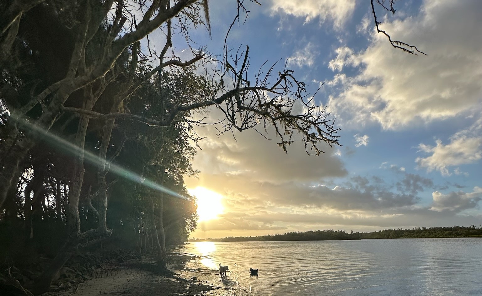Goodwood Island River Camp & Stay