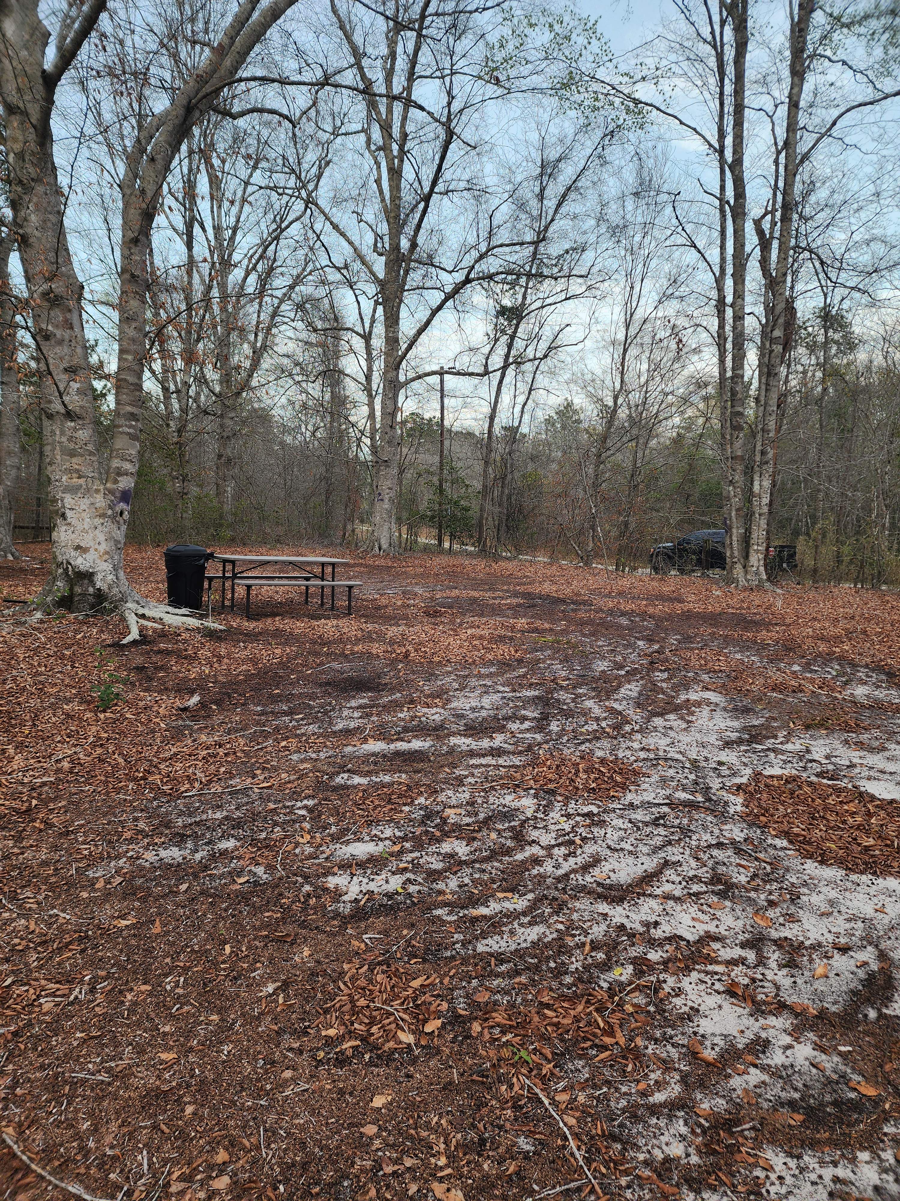 Swift Creek Primitive Camping