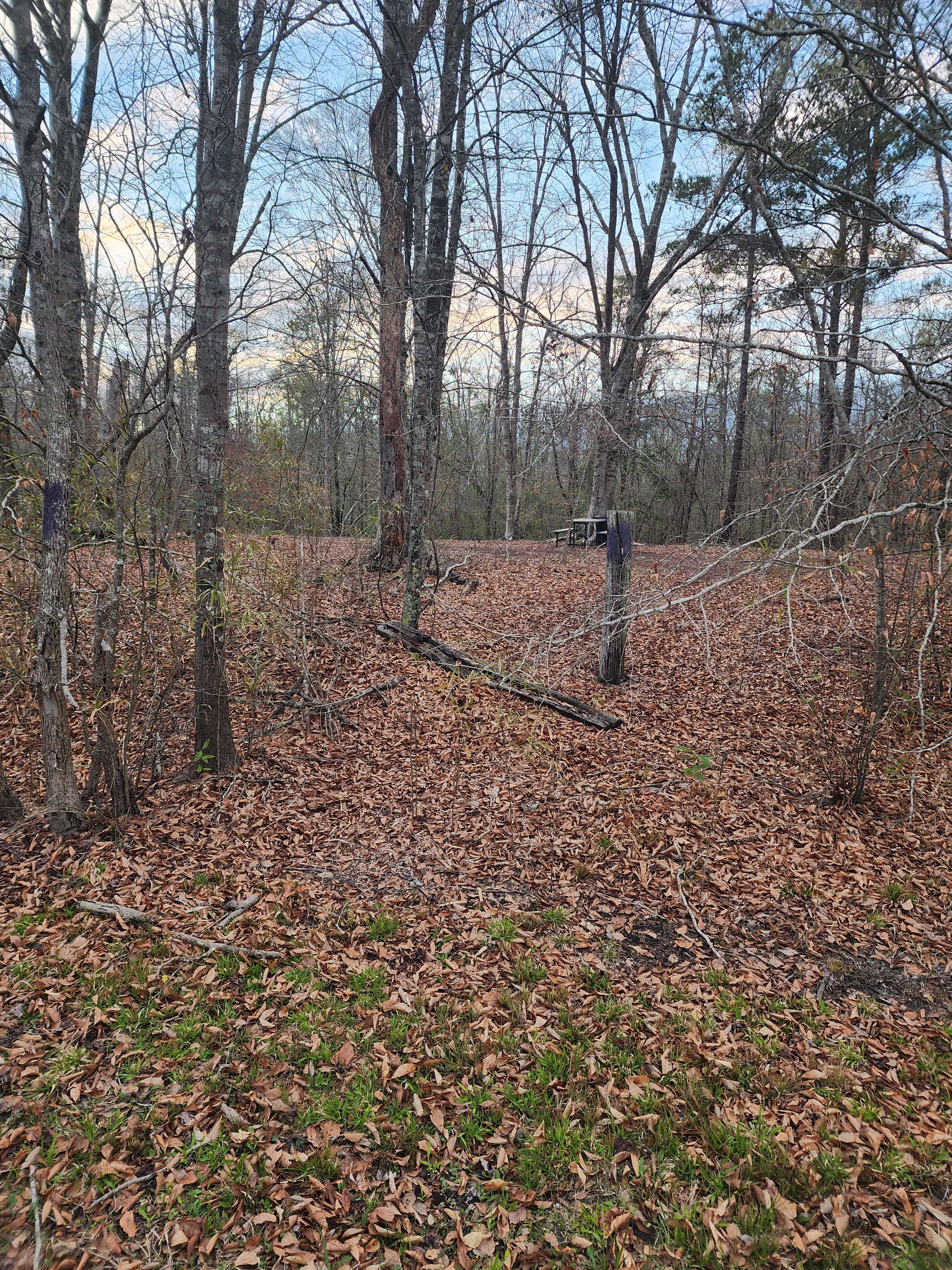 Swift Creek Primitive Camping