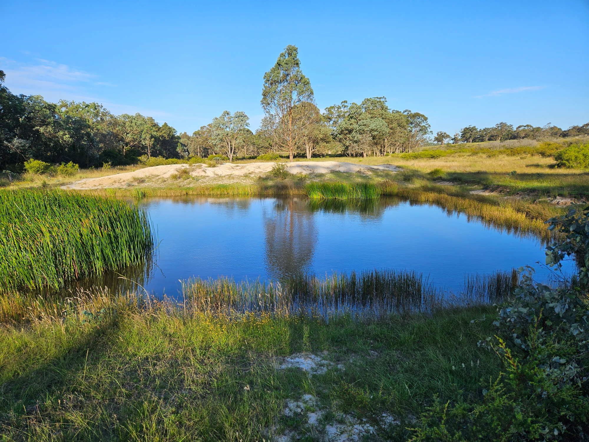 Devon Park