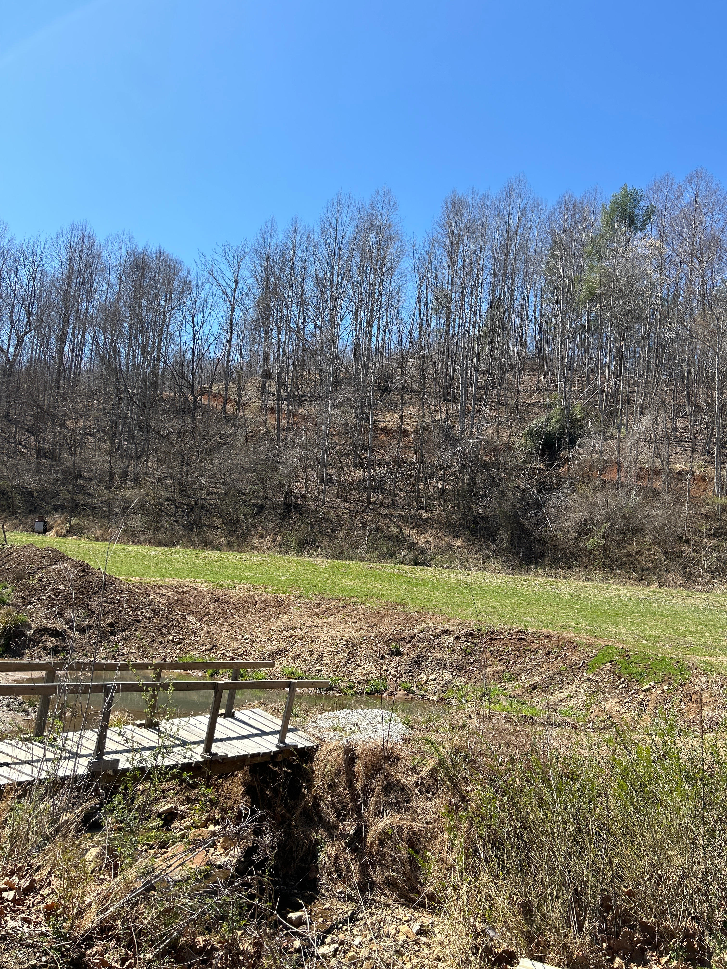 Reedy's Outdoors