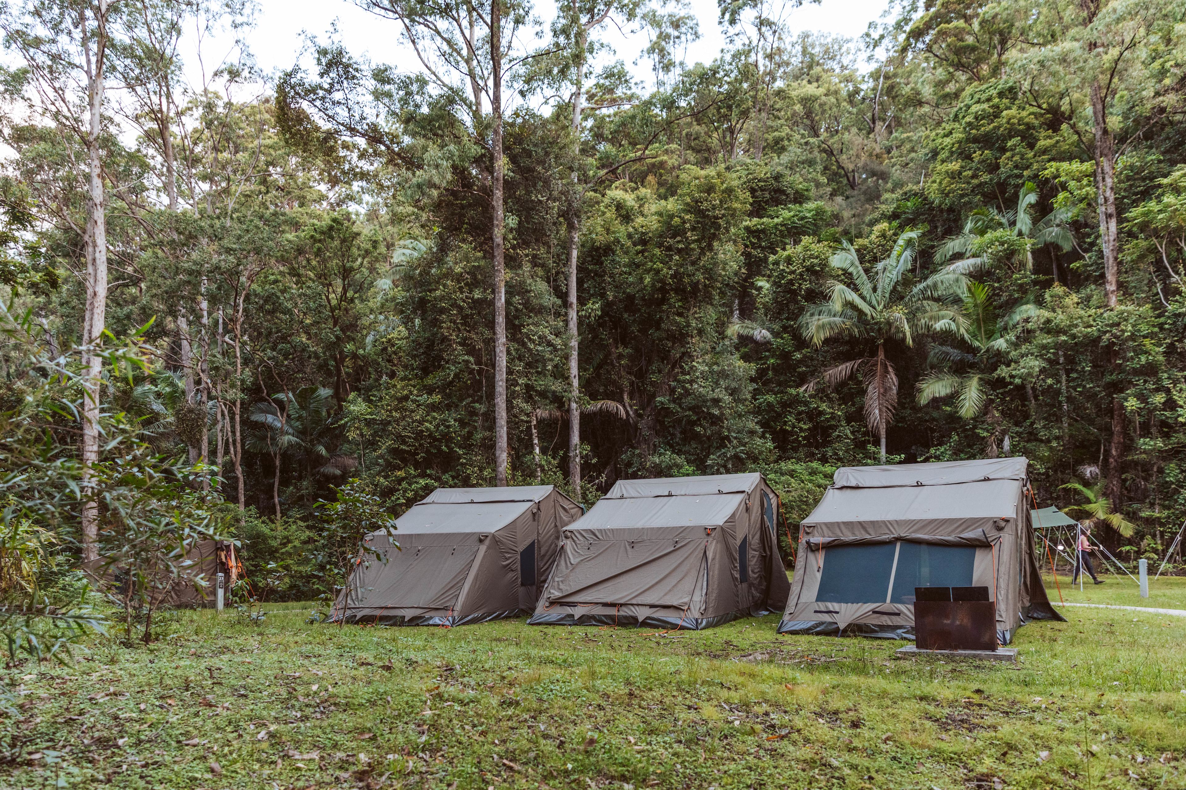 Bower Camp Co. - Border Ranges