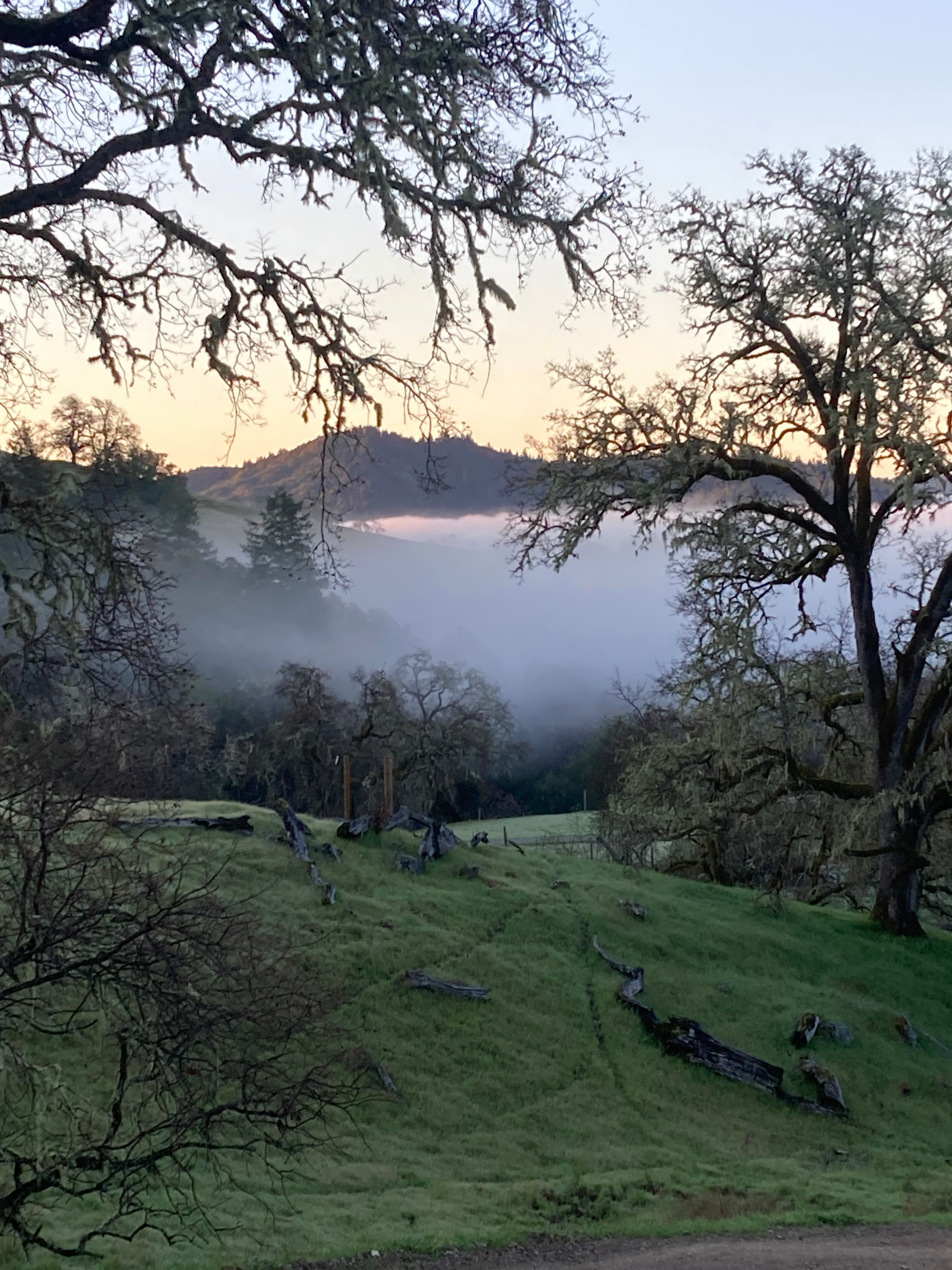 Skye Ranch