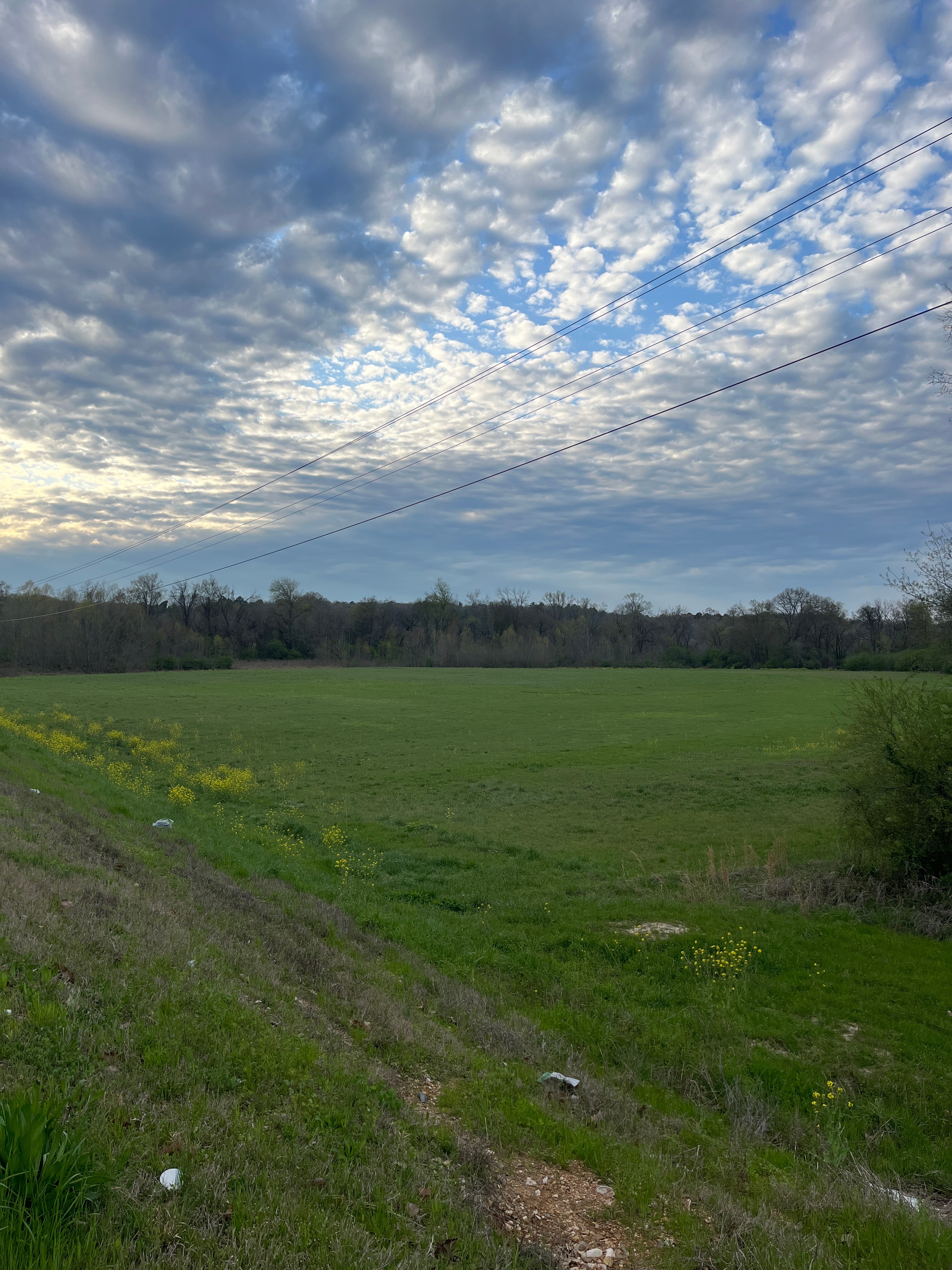  Our wide-open field with a beautiful view of the magnificent southern sky. The sunsets are epic.
