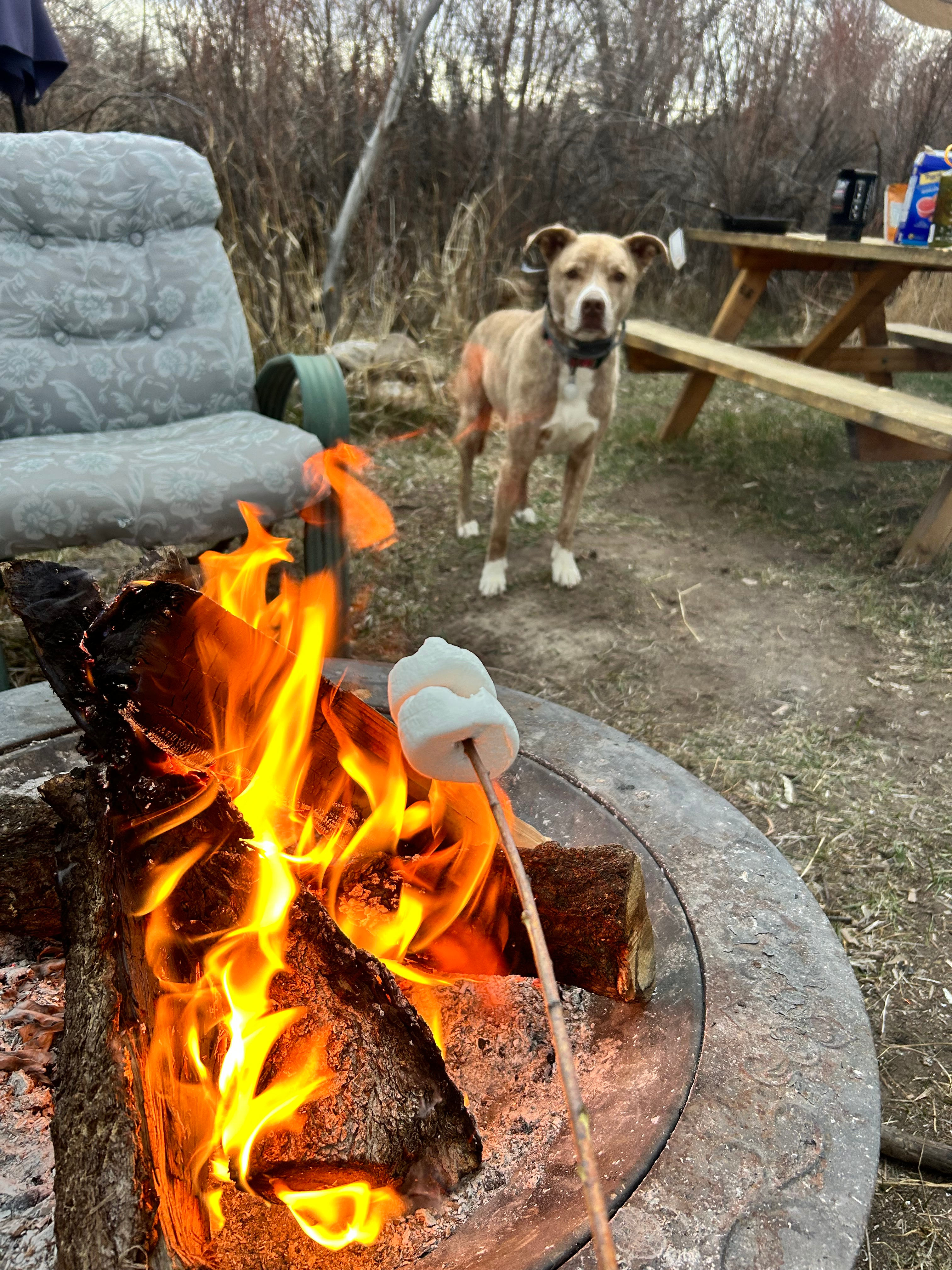River Sanctuary by Ojo Hot Springs