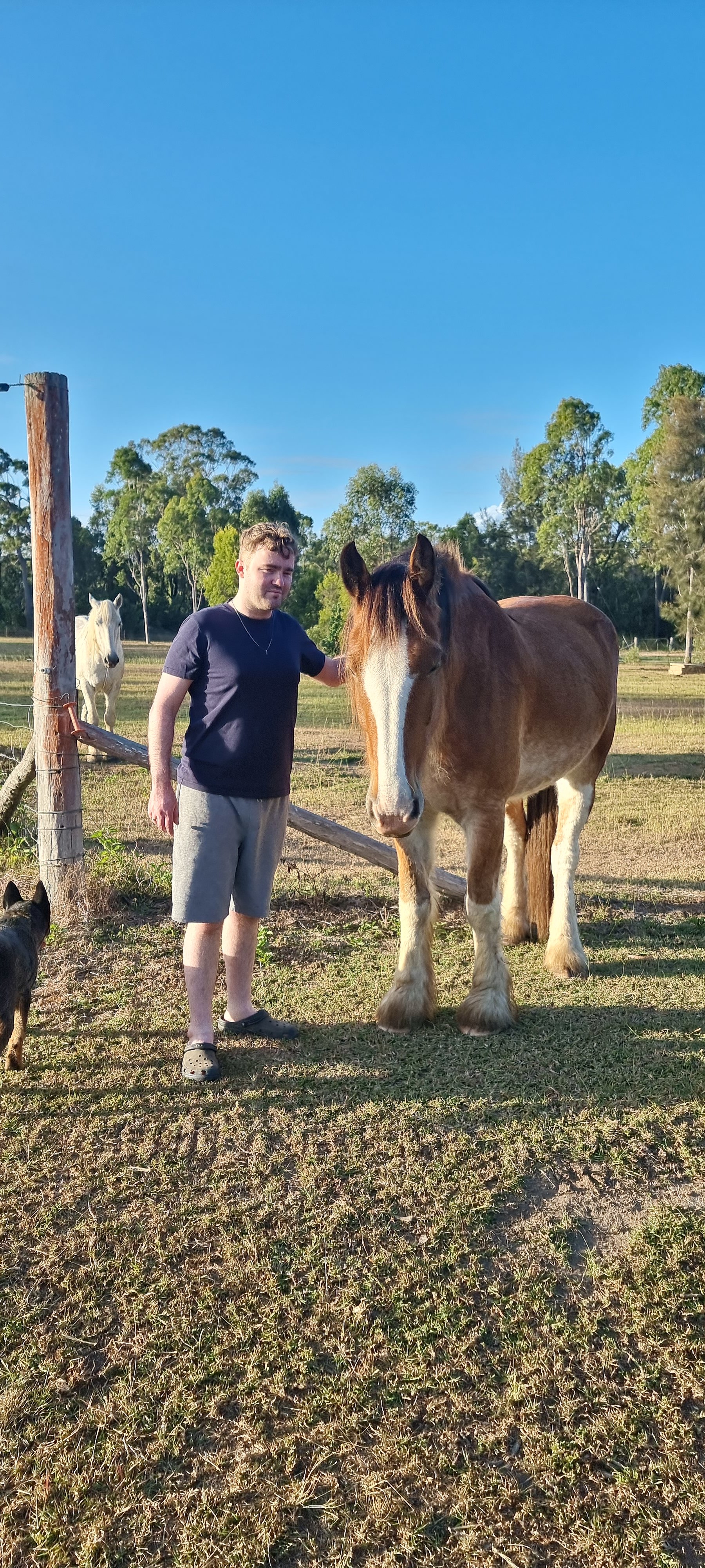 Thyme Travellers Farm Stay