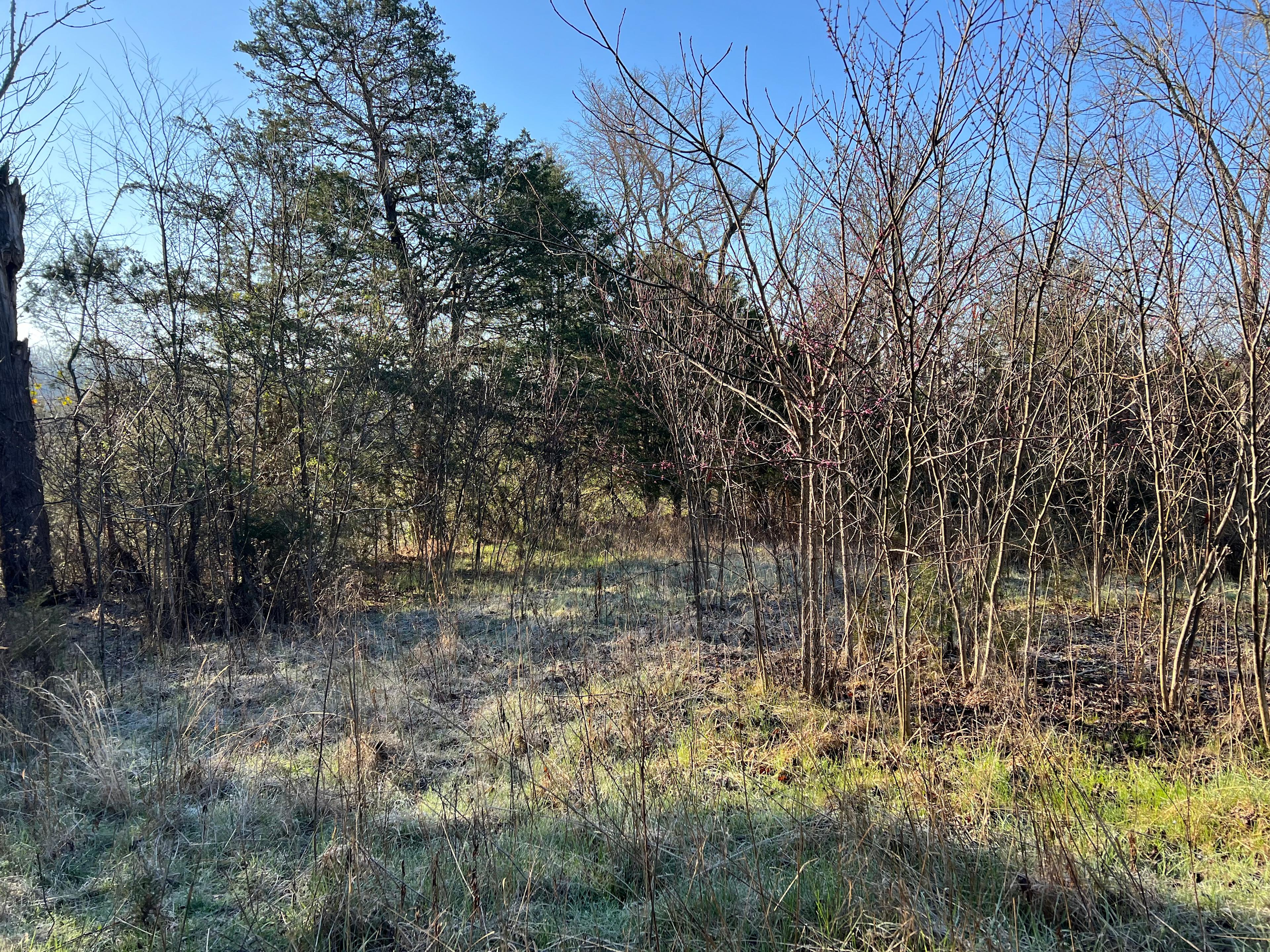 Wild Woods Retreat Center