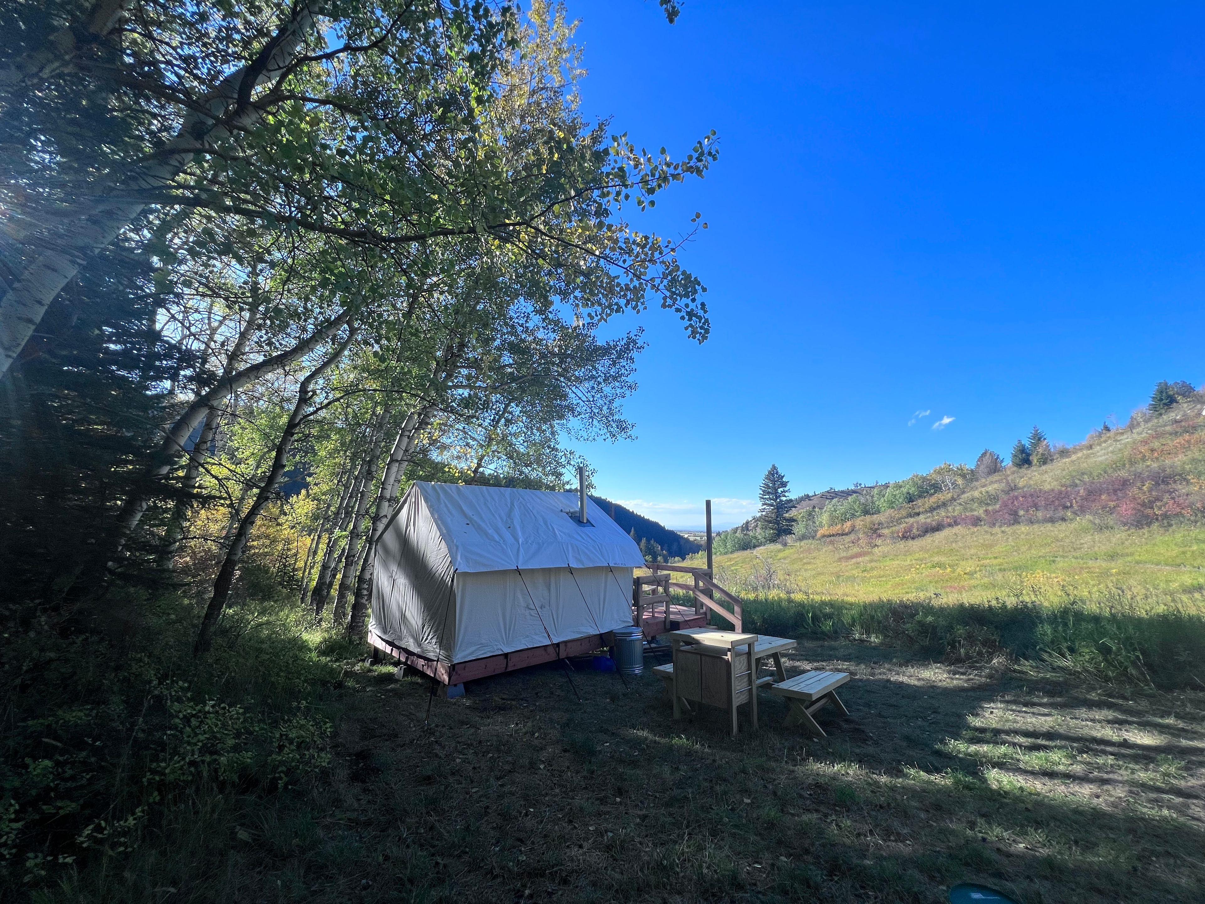 Bear Canyon Meadow