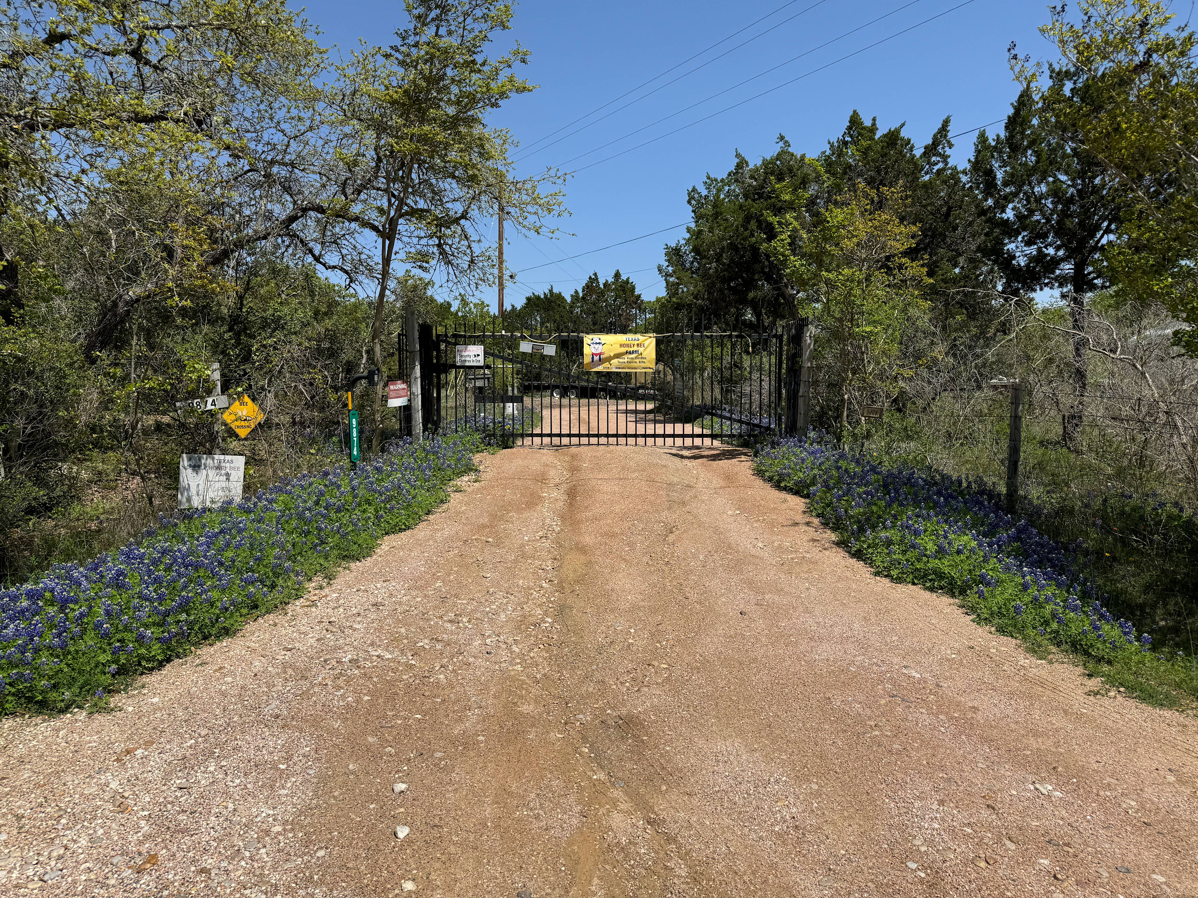 Bee Friendly Austin: Honey Bee Farm