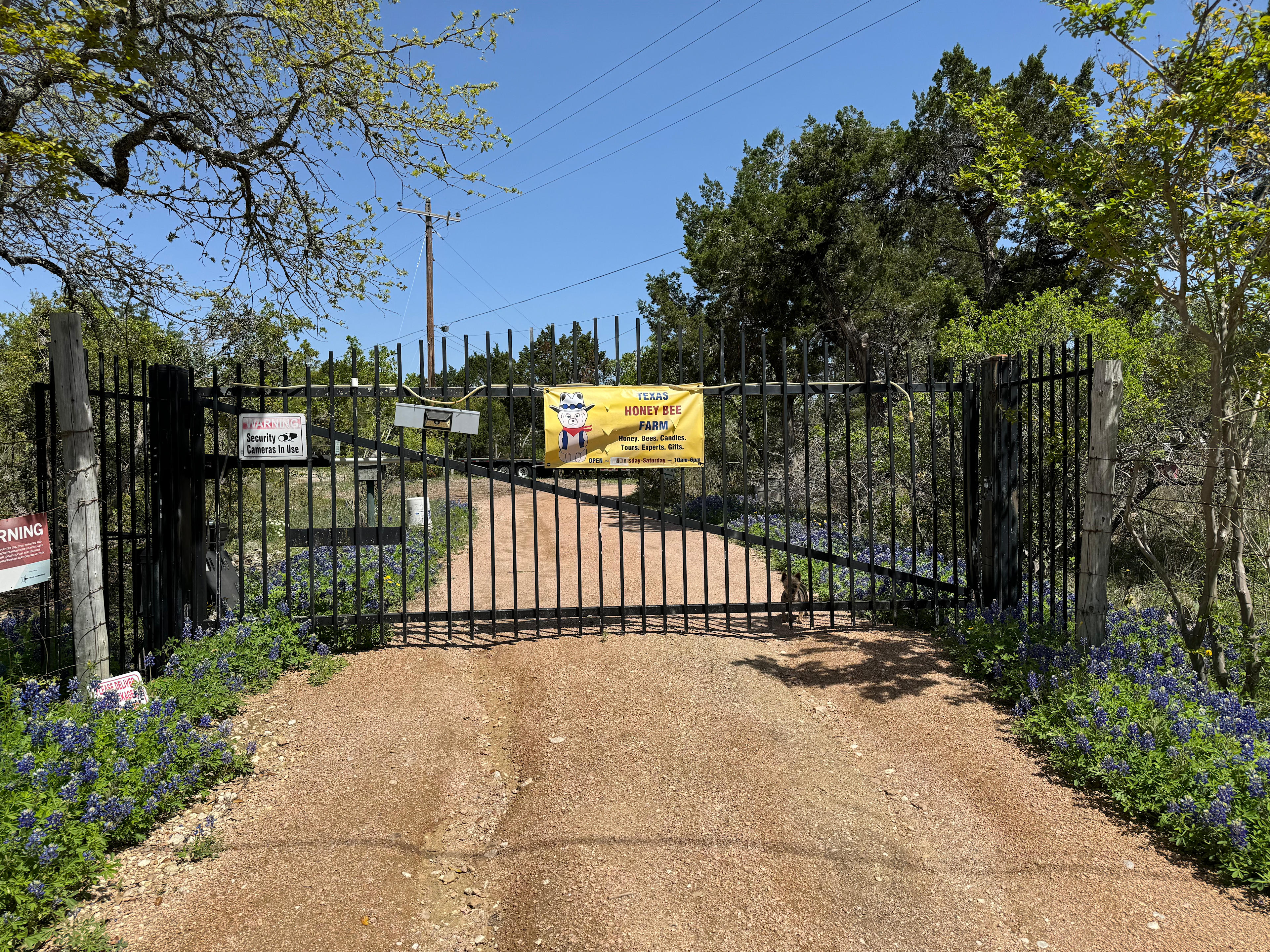 Texas Honey Bee Farm