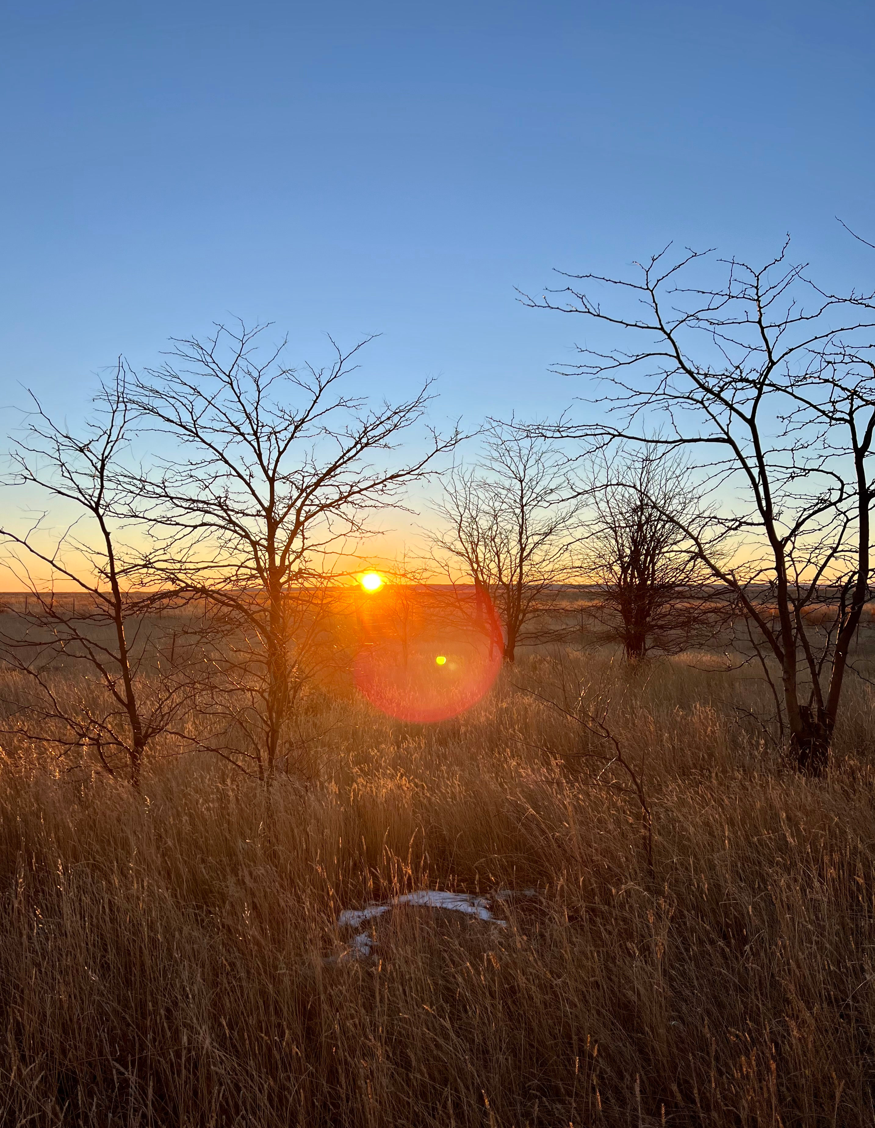 Looking West from the Honey Locust patch, next to your BADLANDS BUNKHOUSE campsite.