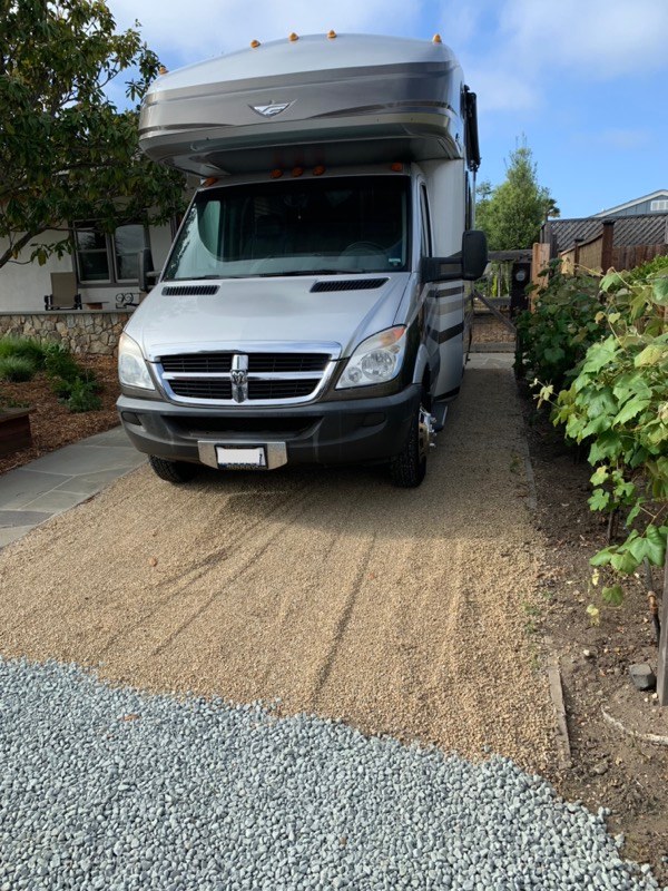 Flower Farm and Homestead: Amazing!