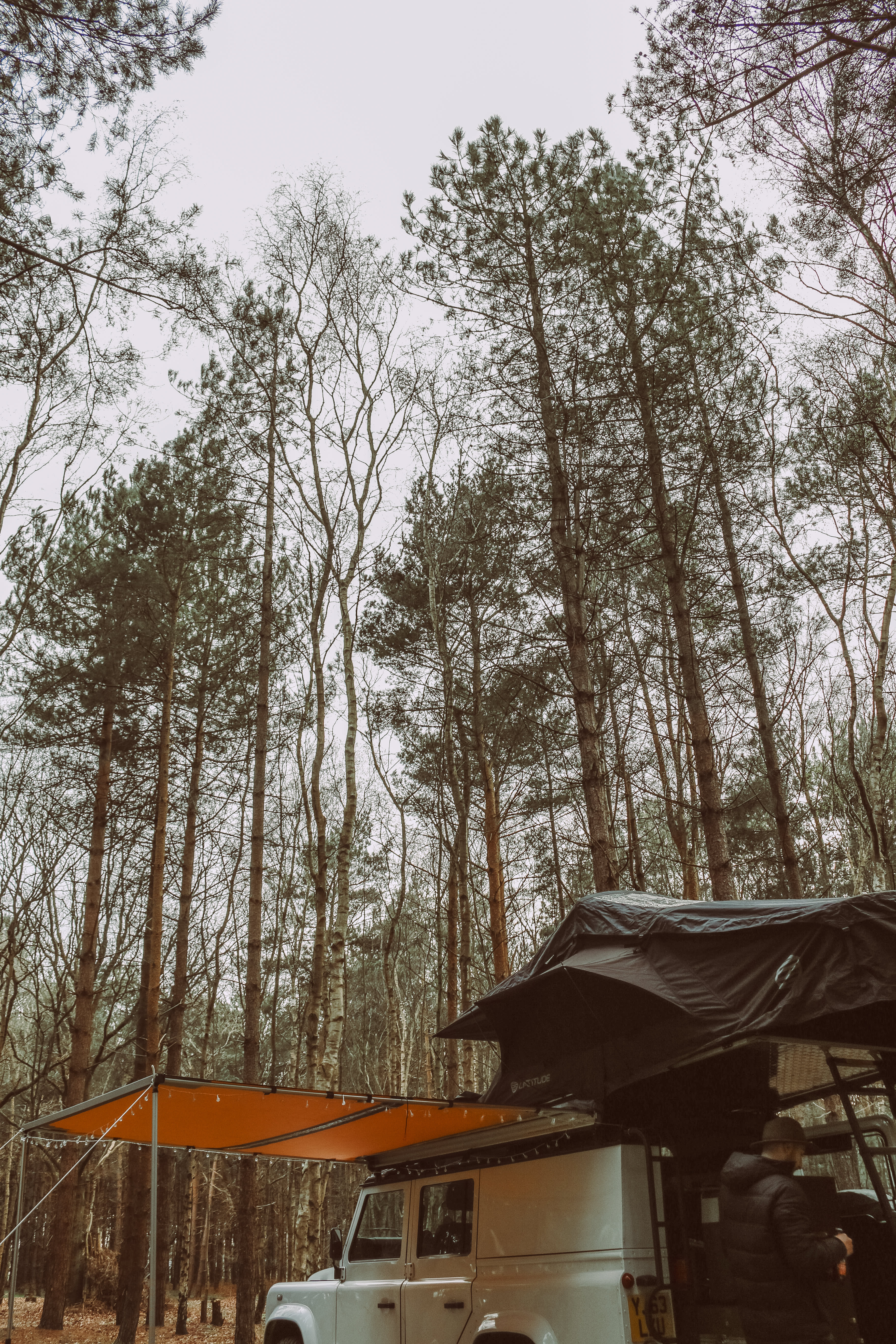 Holistic Woods Wild Campsite