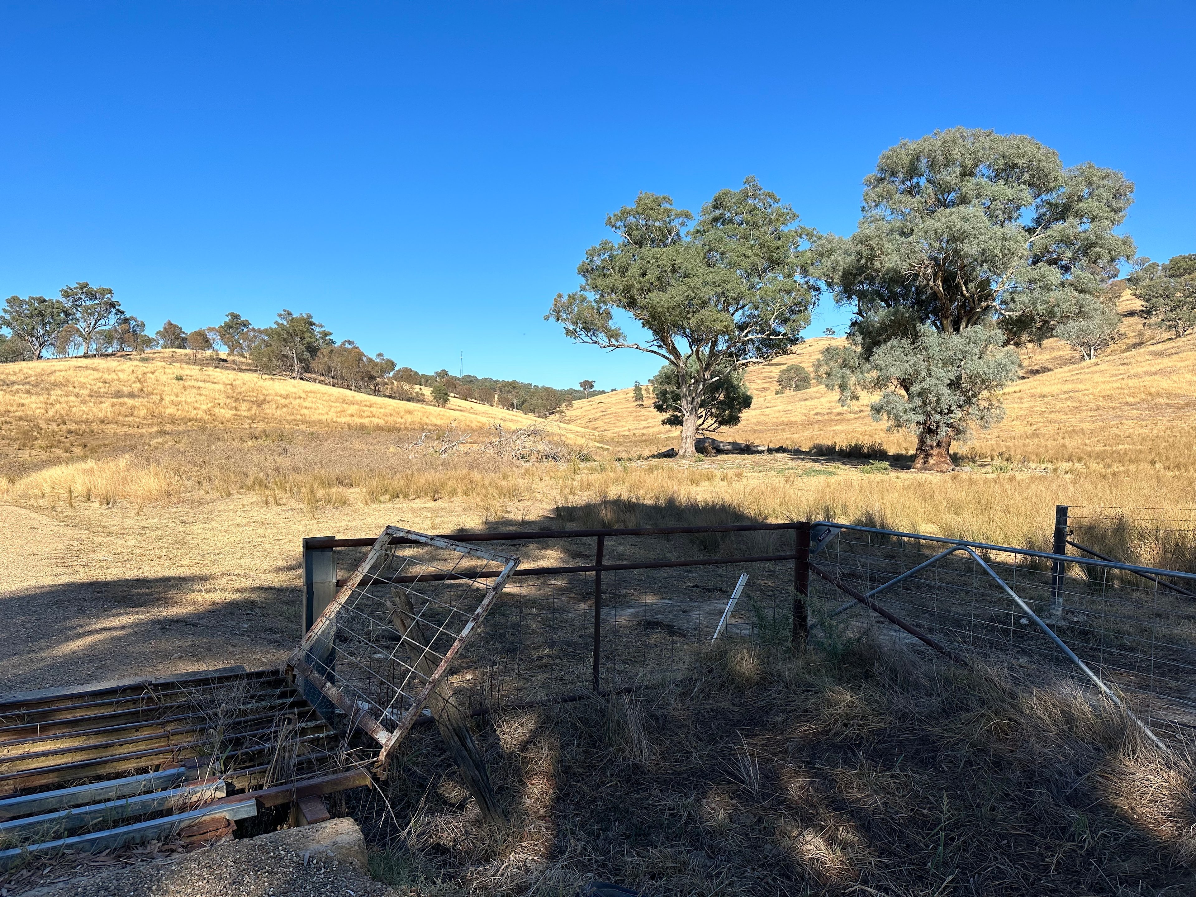 Cattle grids along gravel road into property.
