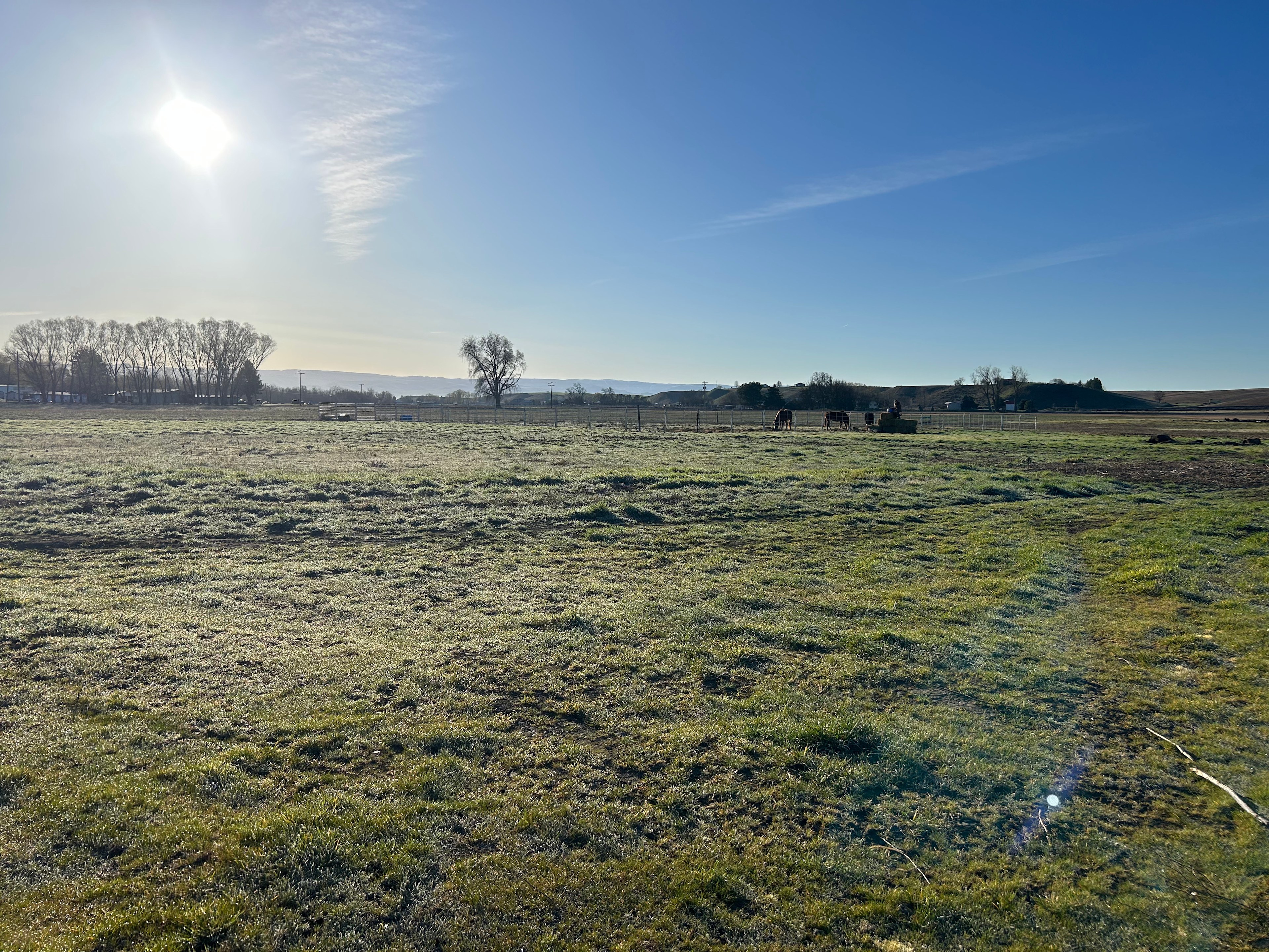 Campsite view looking SE to the Blue Mountains. 