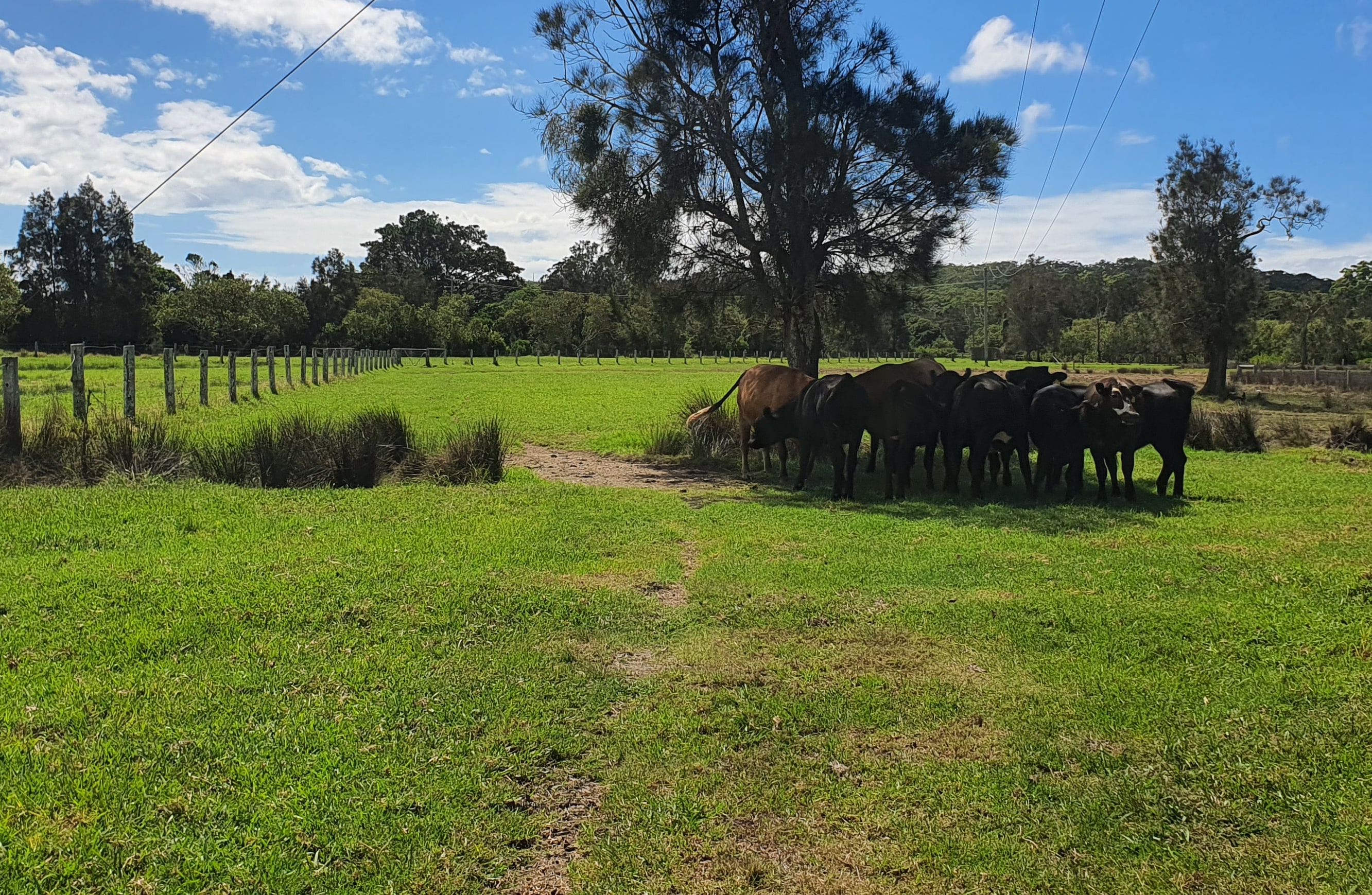 South West Rocks Farm Camp