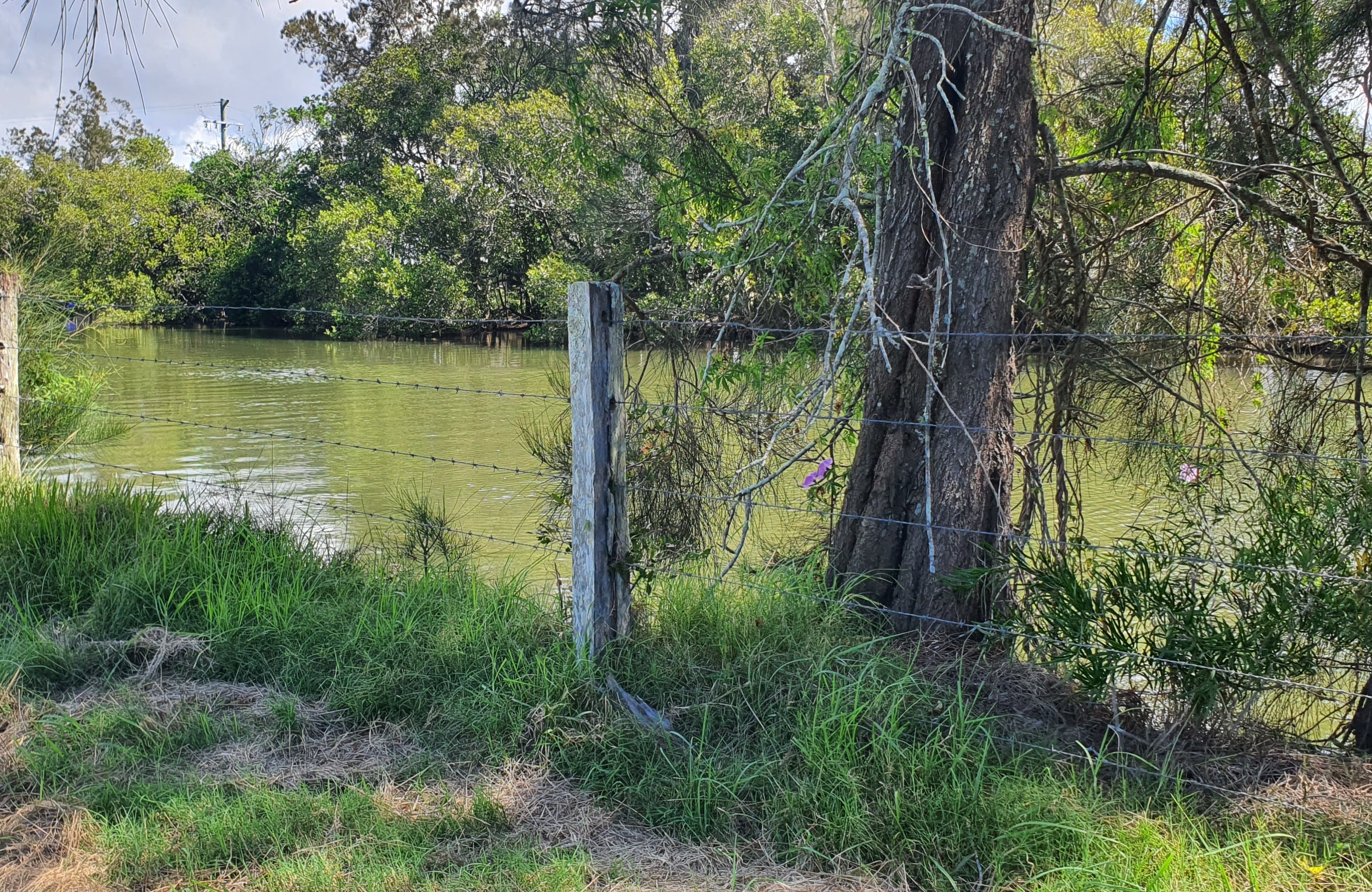 South West Rocks Farm Camp