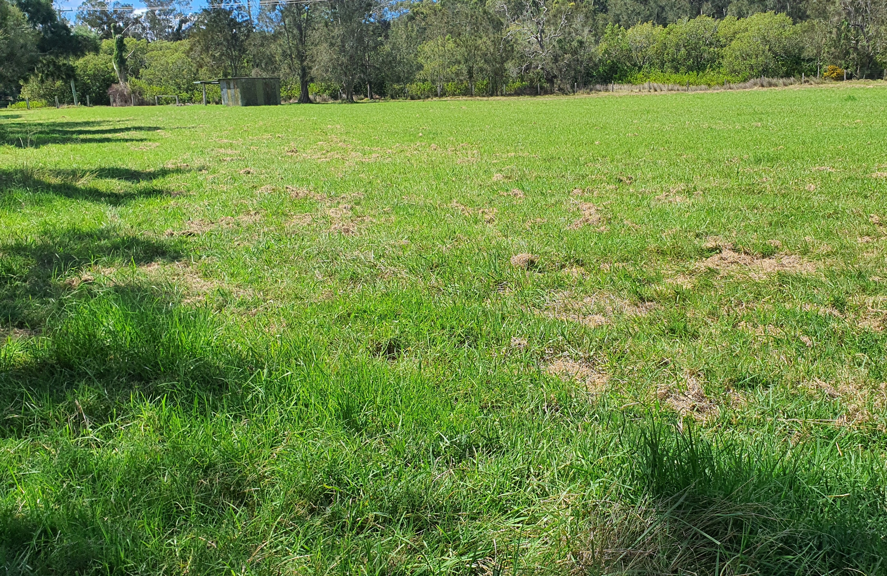 South West Rocks Farm Camp