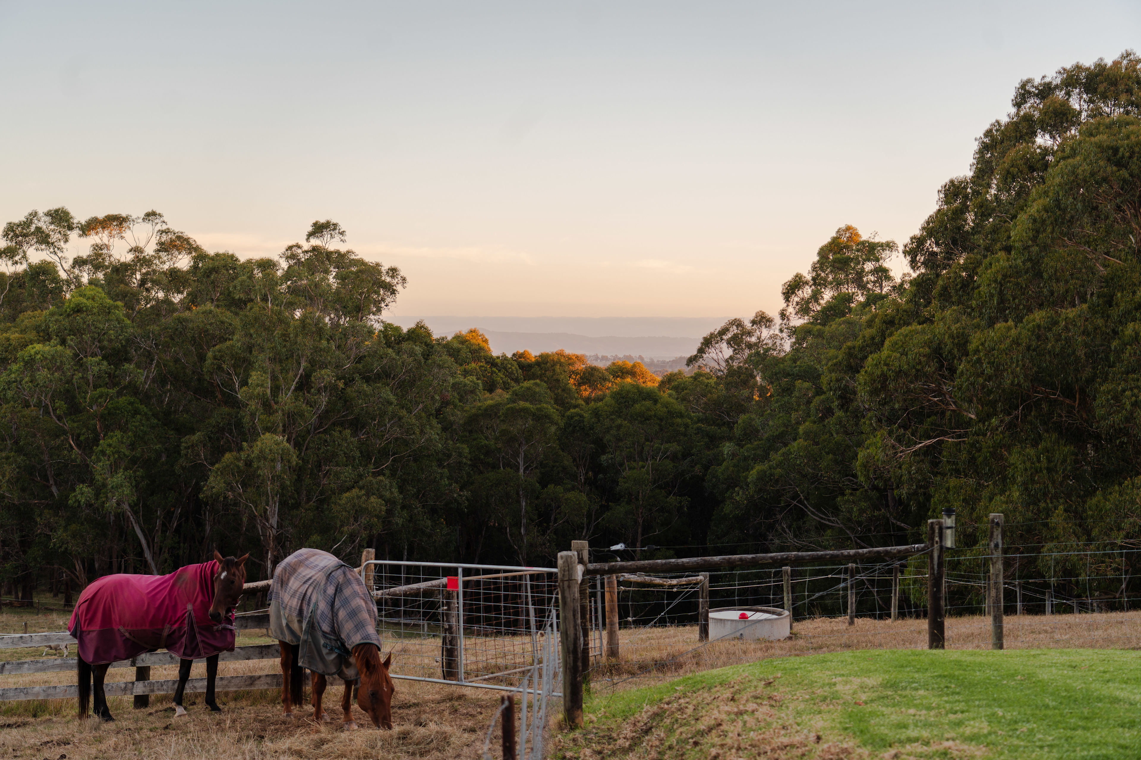 Millers Farm "The Hills are alive"