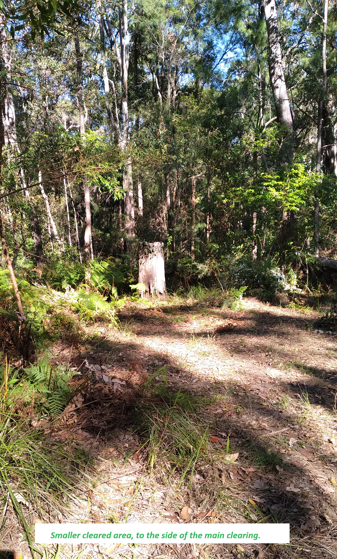 Hopping Dick's Hideaway