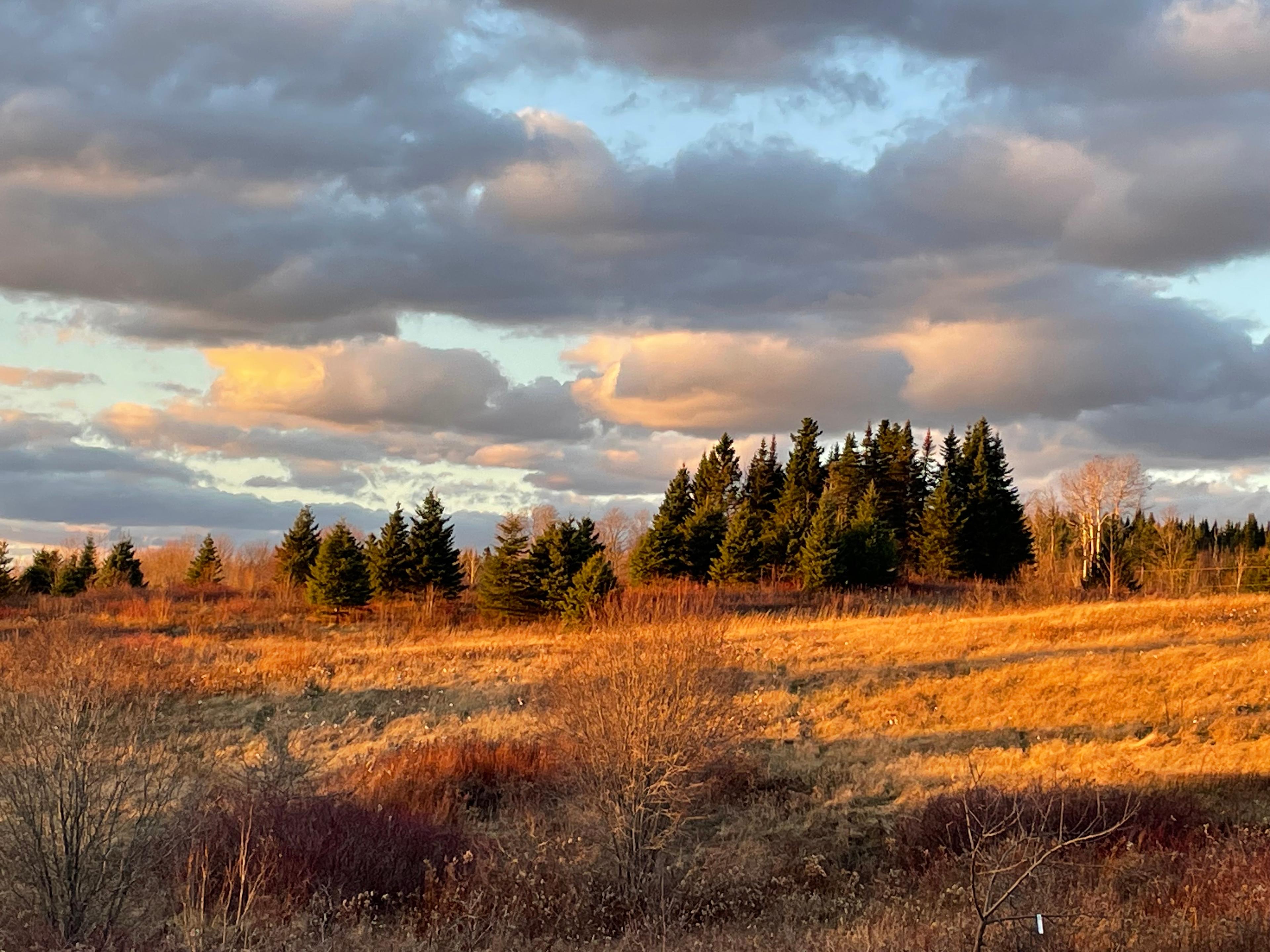 Beautiful Walden Vermont