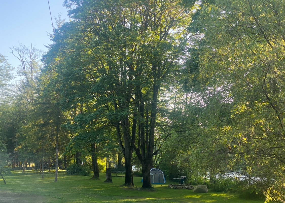 Looking down length of property. 