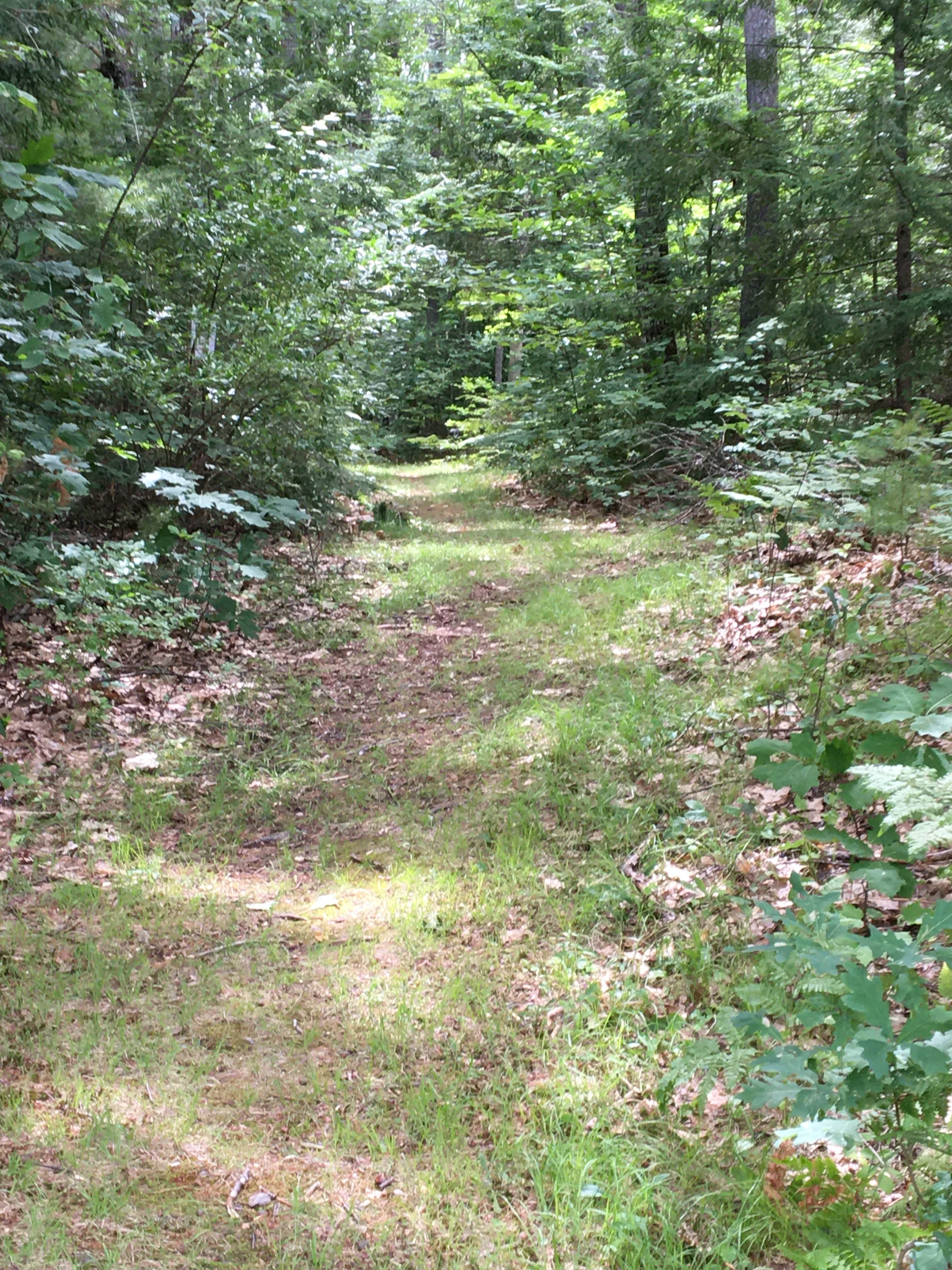 Crooked Run Farm Adirondack