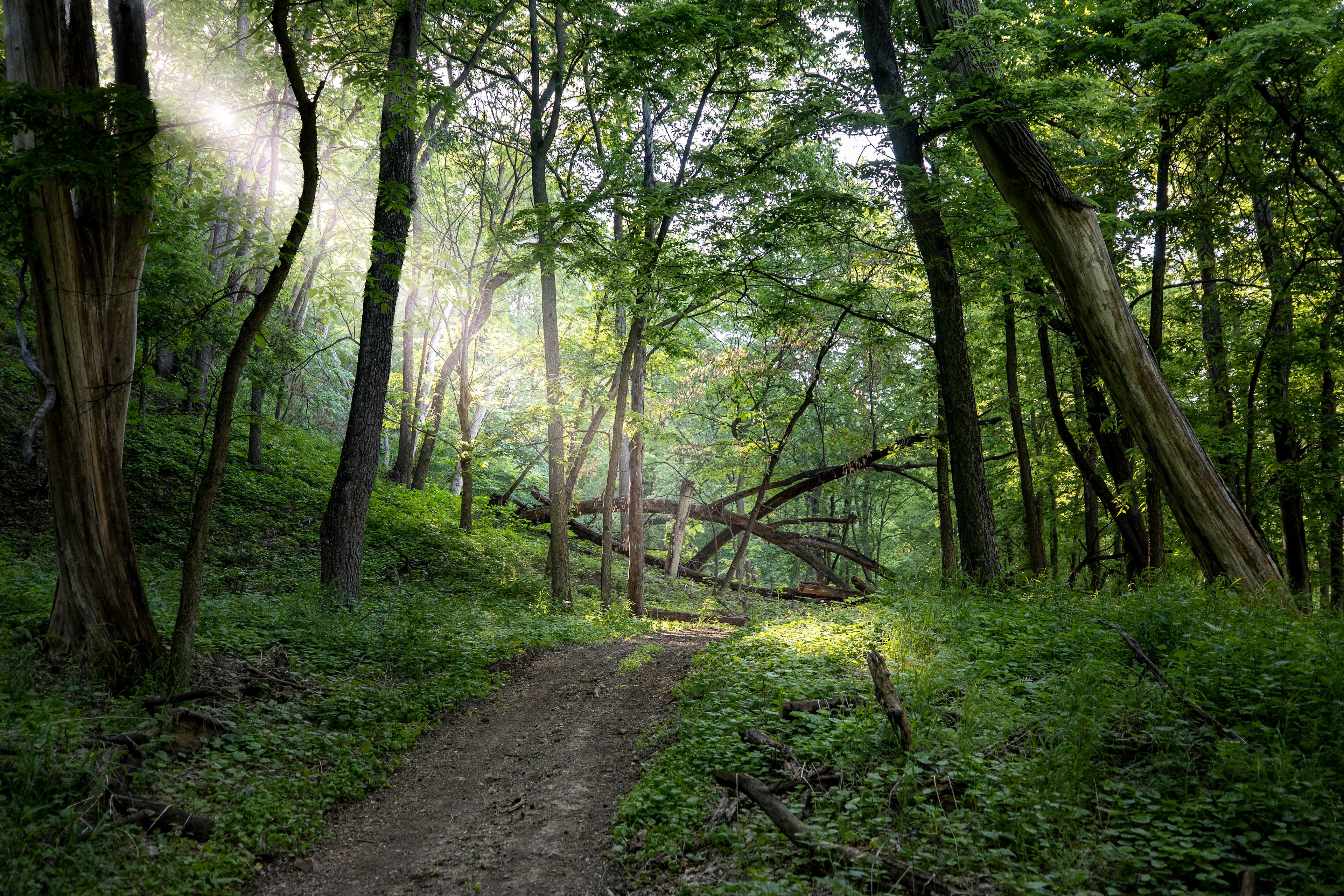 Arrowtree Campgrounds