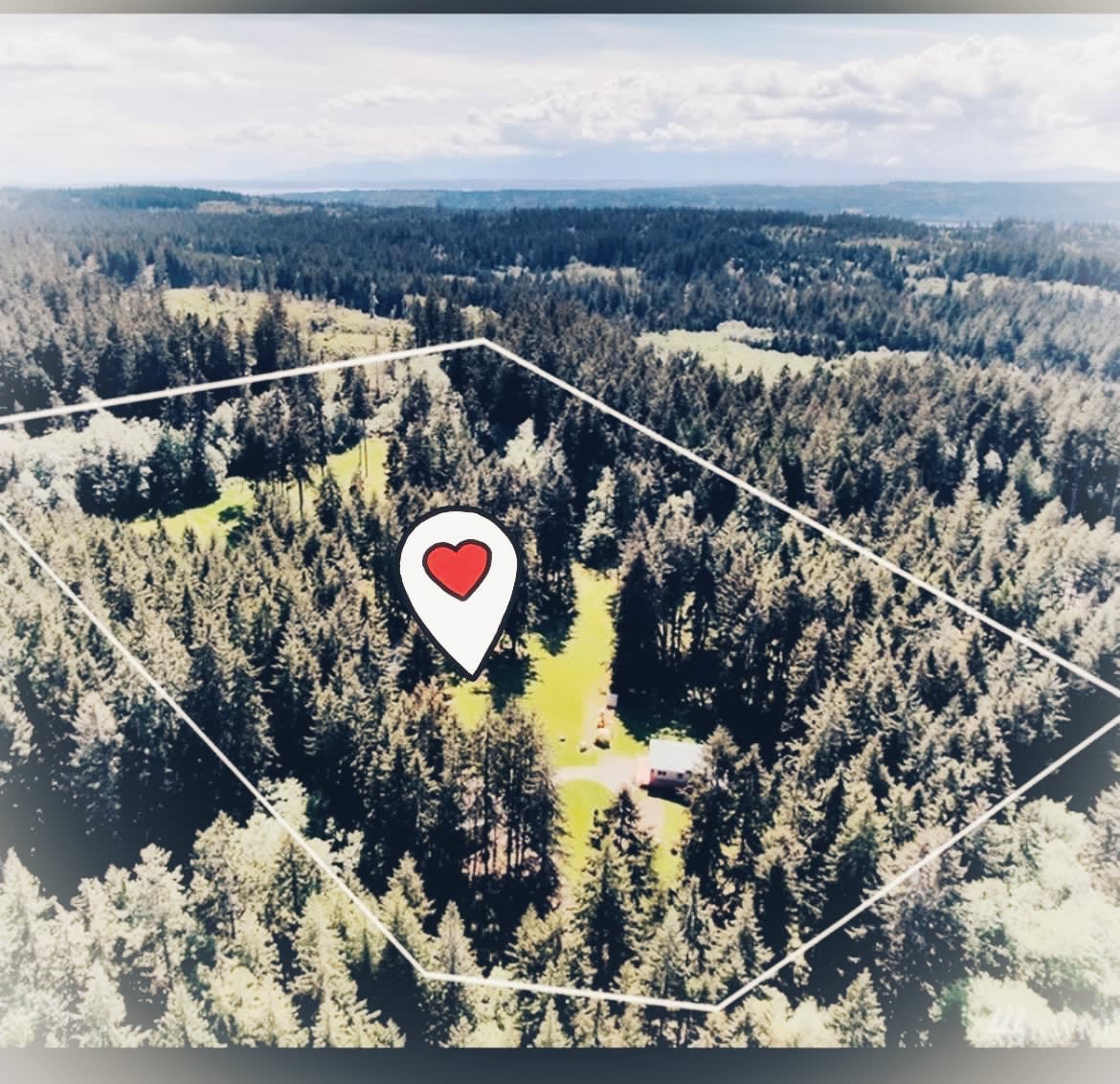 Wild Hearts on Whidbey