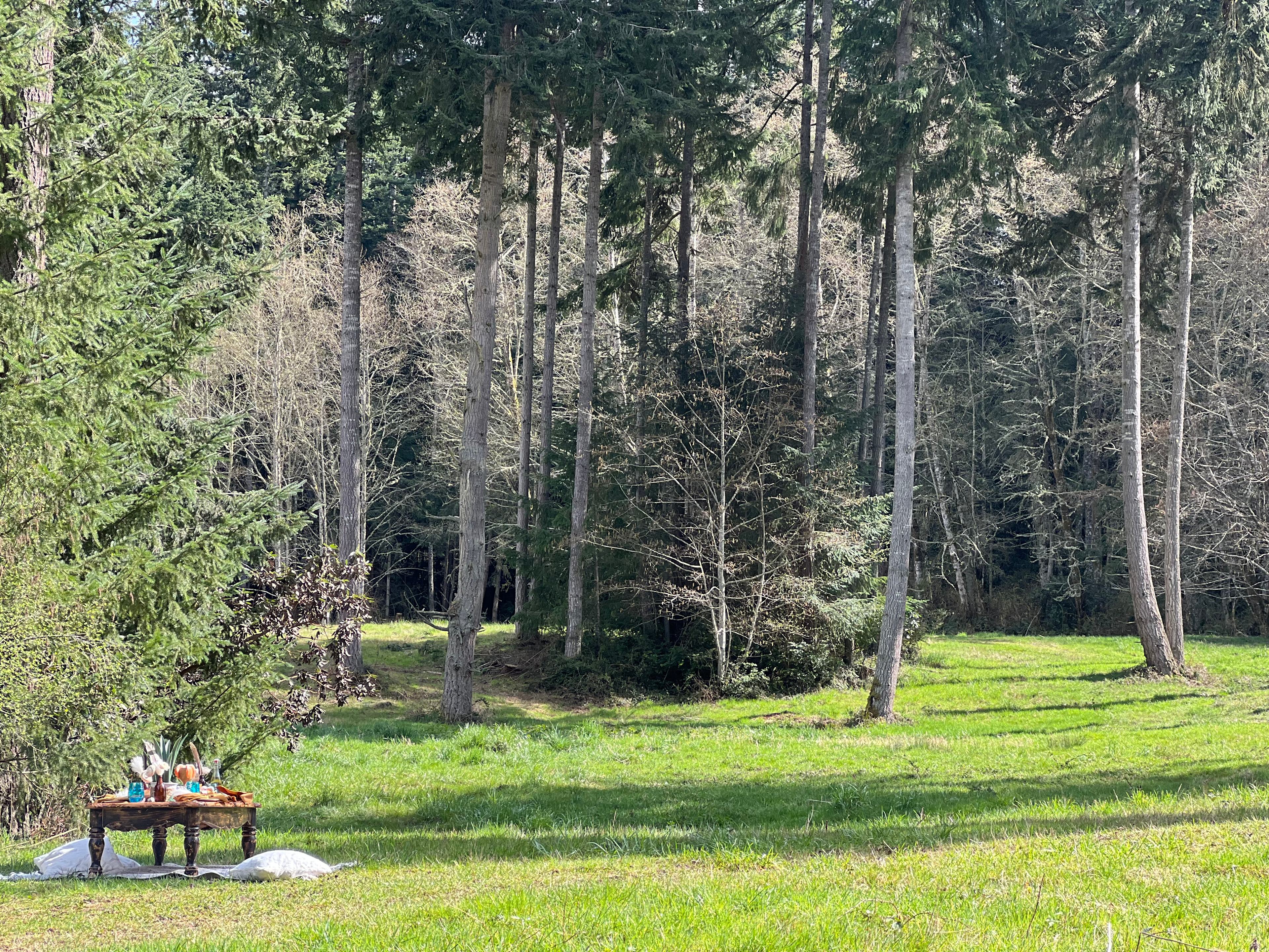 Wild Hearts on Whidbey