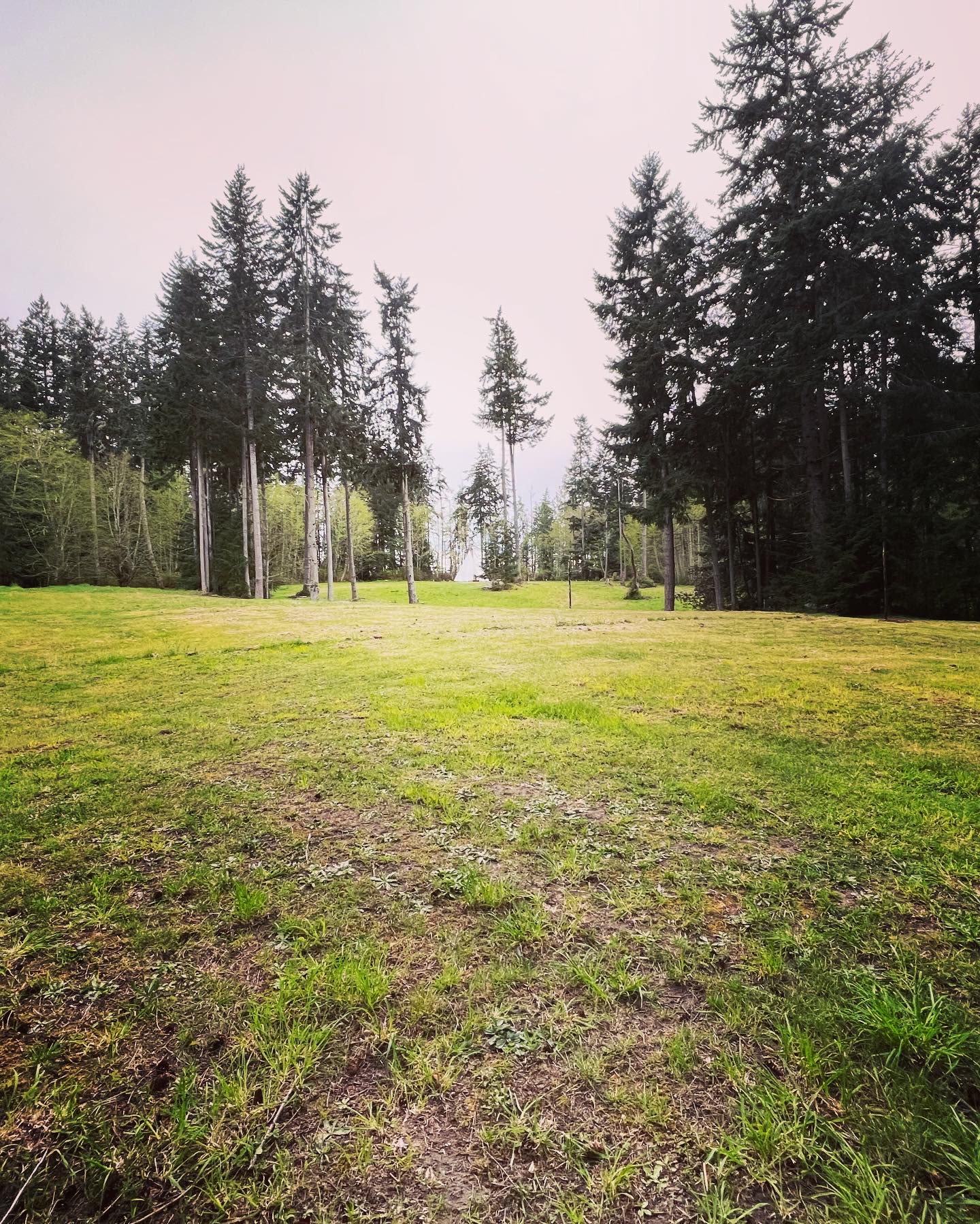 Wild Hearts on Whidbey