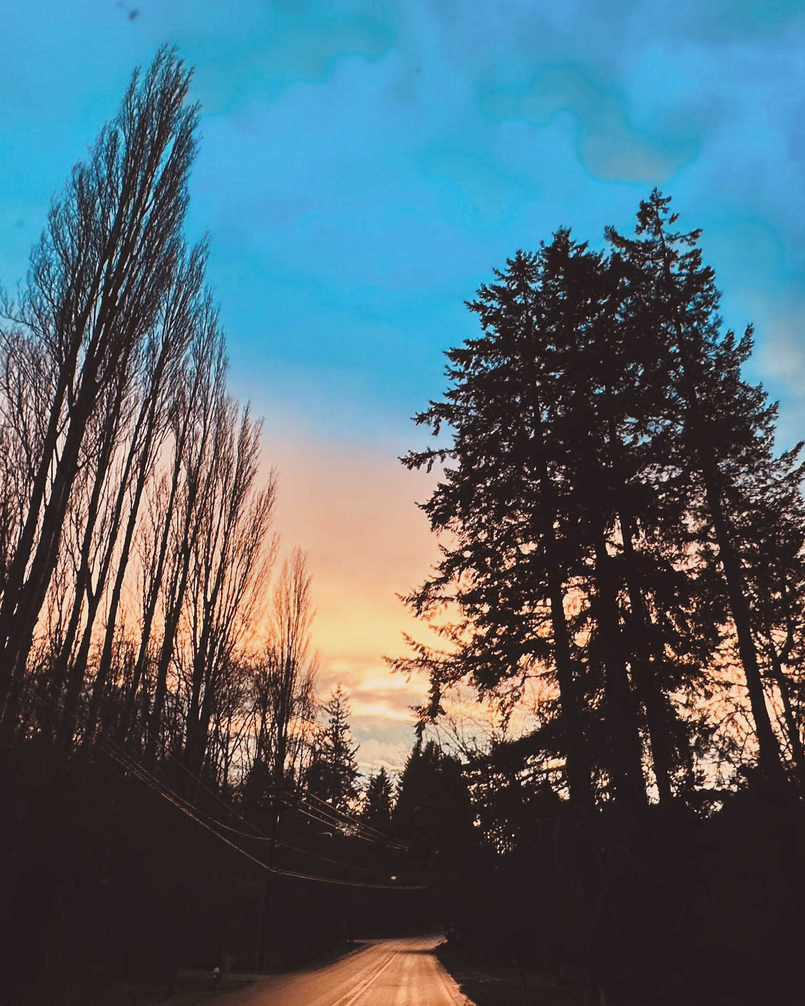 Wild Hearts on Whidbey