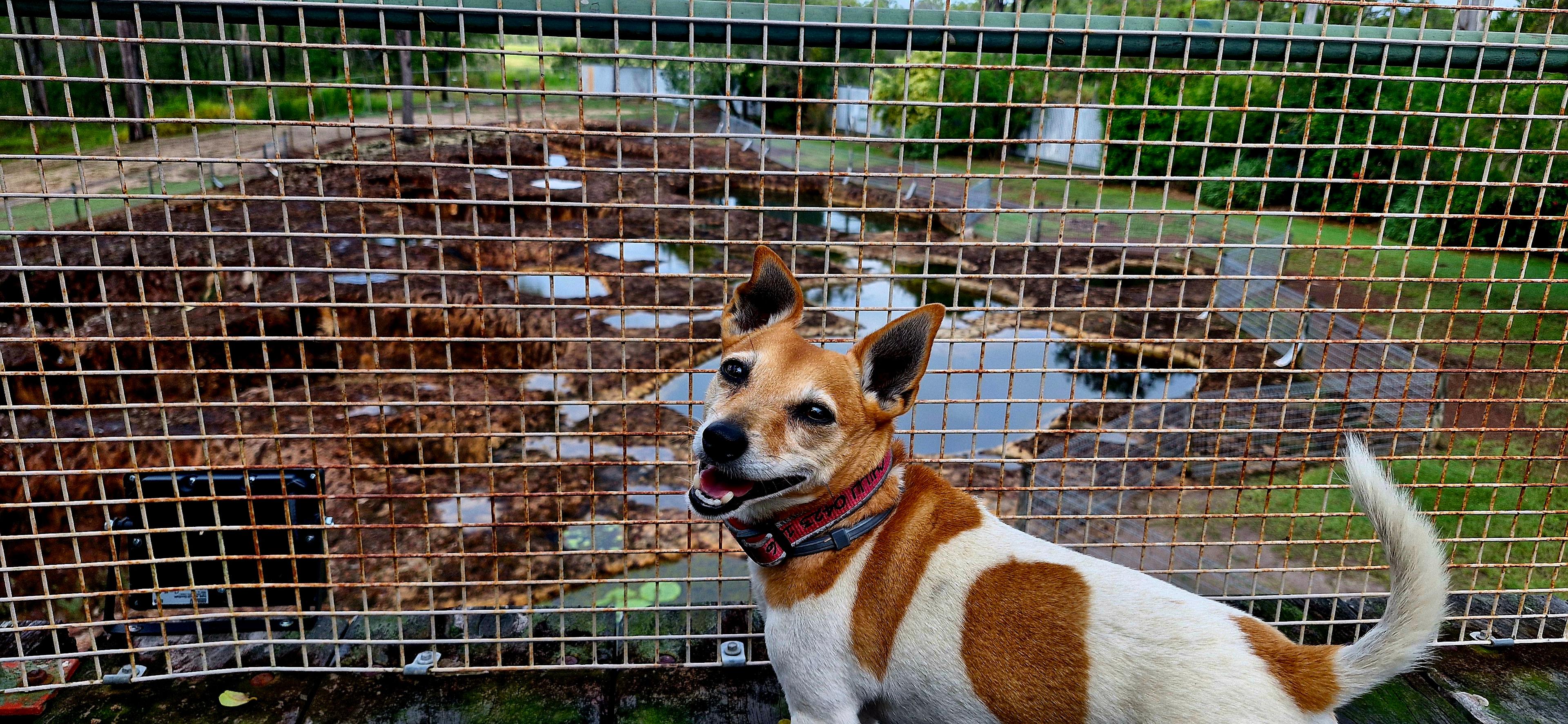 Mystery Craters: Moonlight Stay