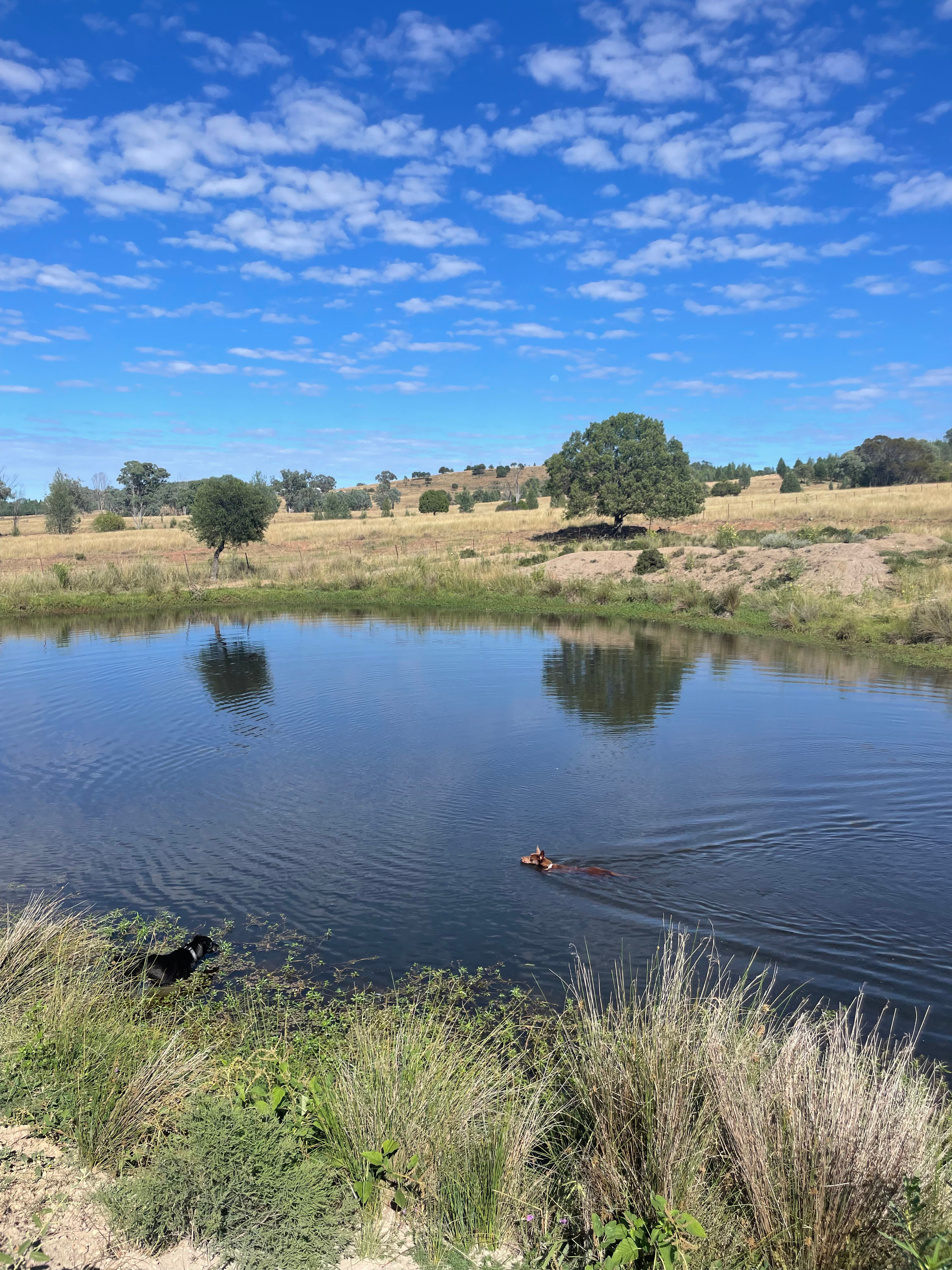 Valley Heights Texas QLD Bush Camp