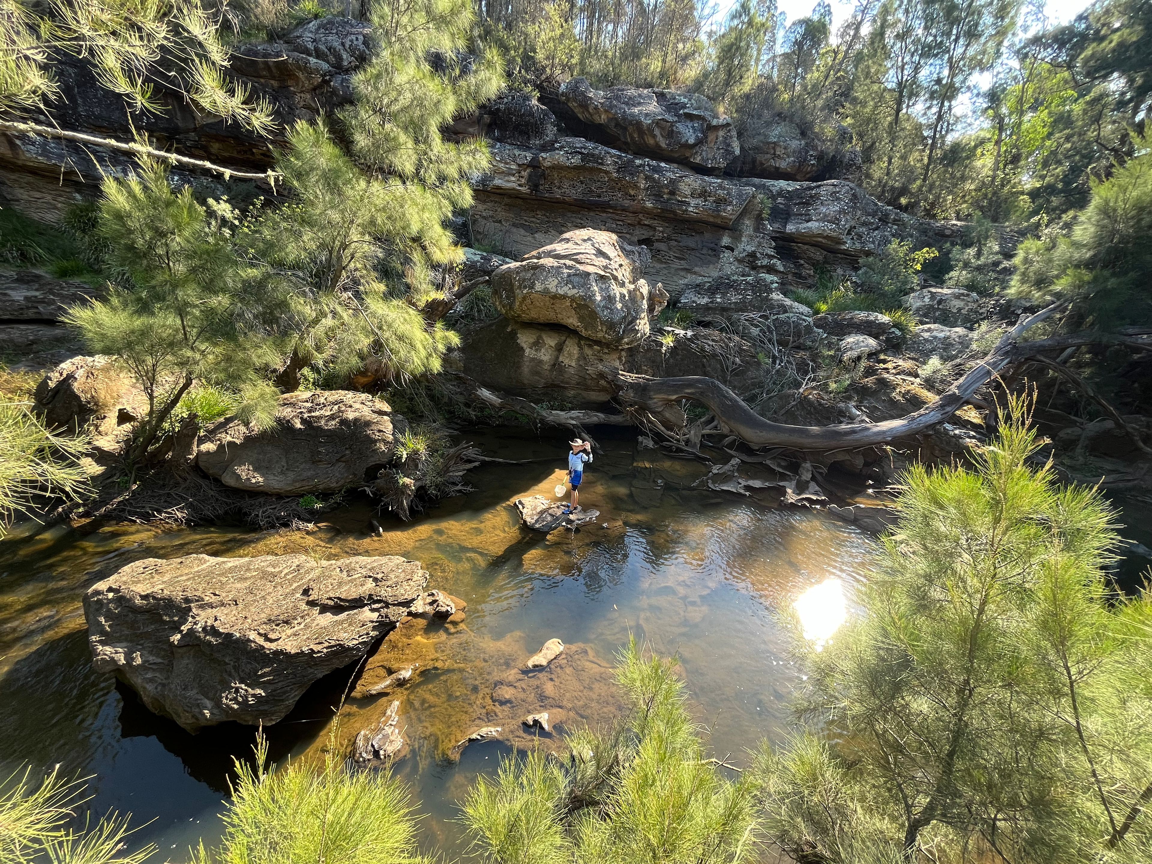 Noonameena - Sleep in the Bush